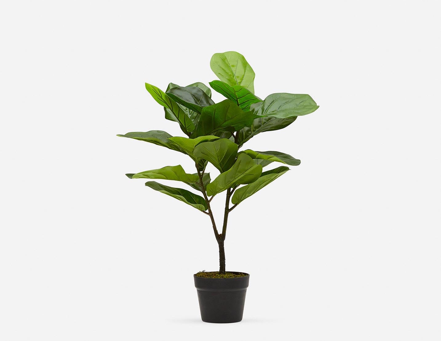 FIDDLE LEAF II - plante artificielle en pot 70 cm - Vert