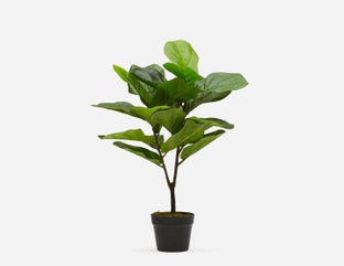 FIDDLE LEAF II - plante artificielle en pot 70 cm - Vert
