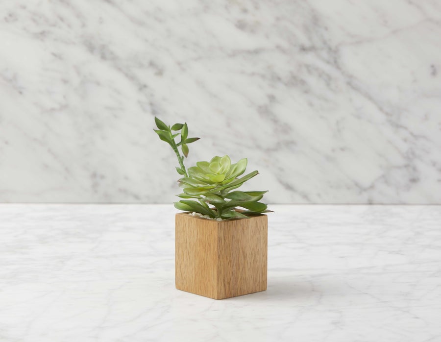 FORET plante artificielle en pot 7 cm undefined
