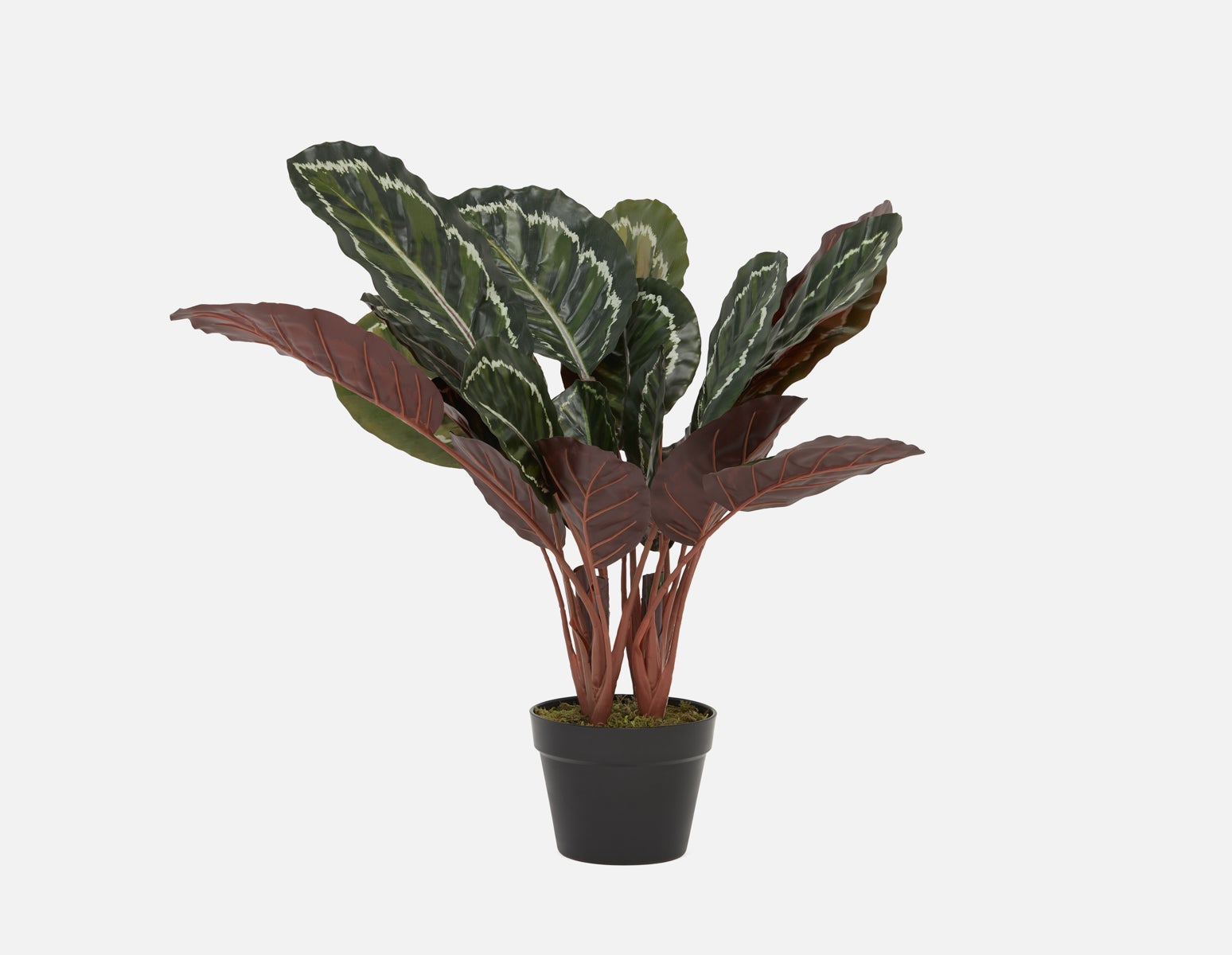 FANI - artificial potted plant 70 cm - Green
