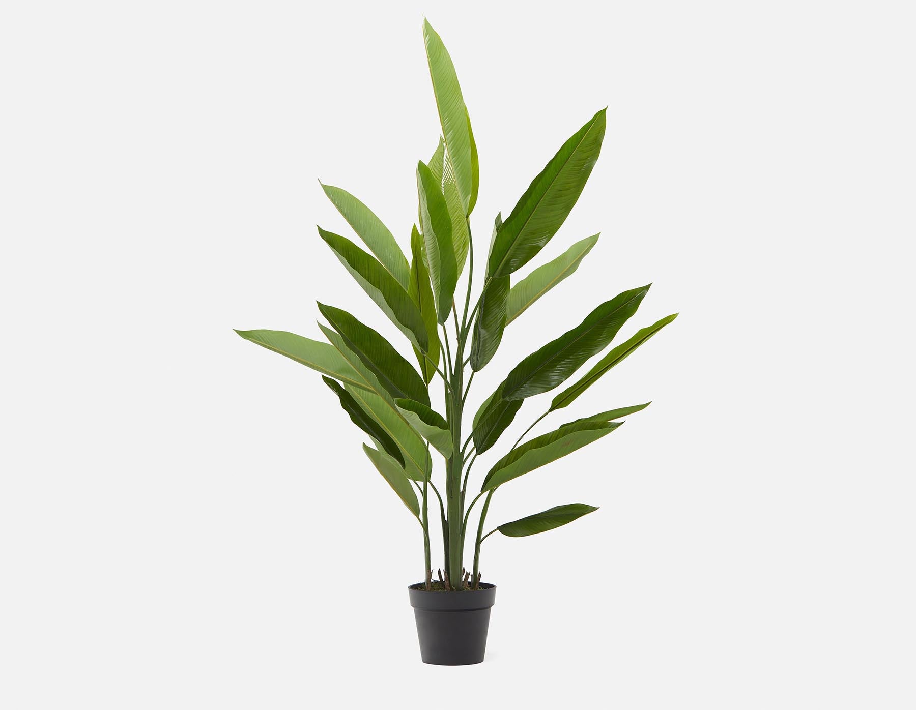 ALISA - artificial potted plant 140 cm - Green
