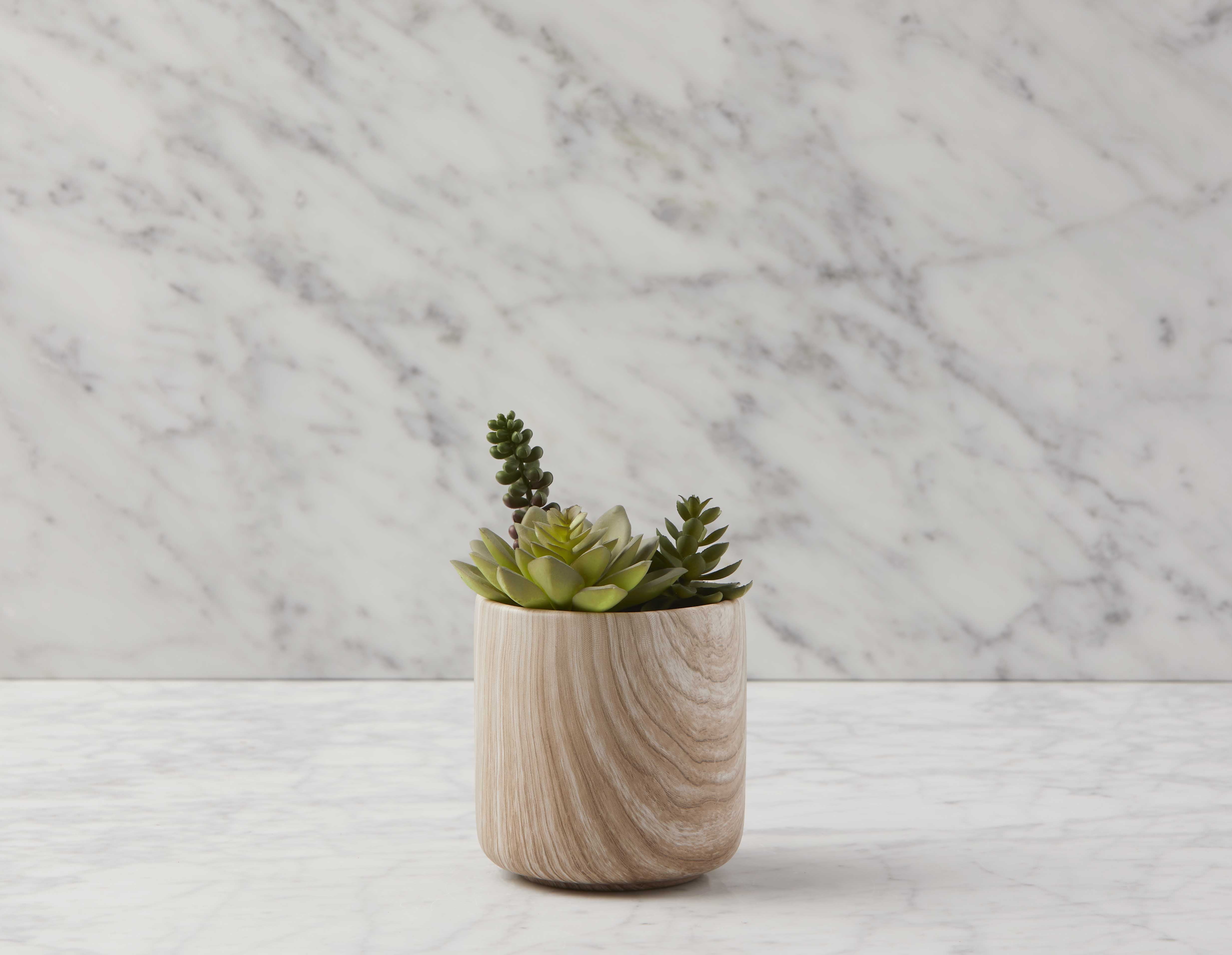 TOBY - artificial potted plant 18 cm - Multi