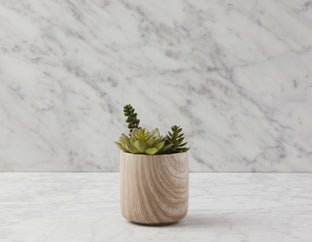 TOBY - artificial potted plant 18 cm - Multi