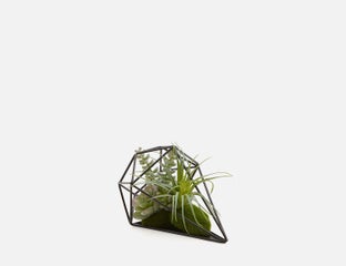 VIANNA - arrangement de plantes artificielles 13cm - Vert