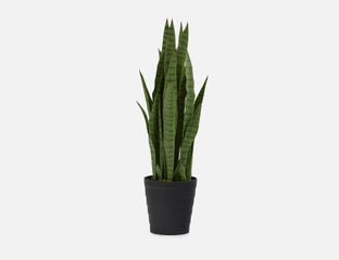 SNAKE PLANT - artificial potted plant 94 cm - Green