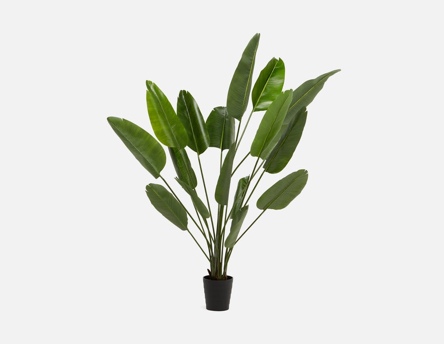 VERTO artificial potted plant 210 cm undefined