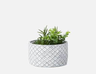 LIVI II - artificial potted plant 20 cm - White/Grey