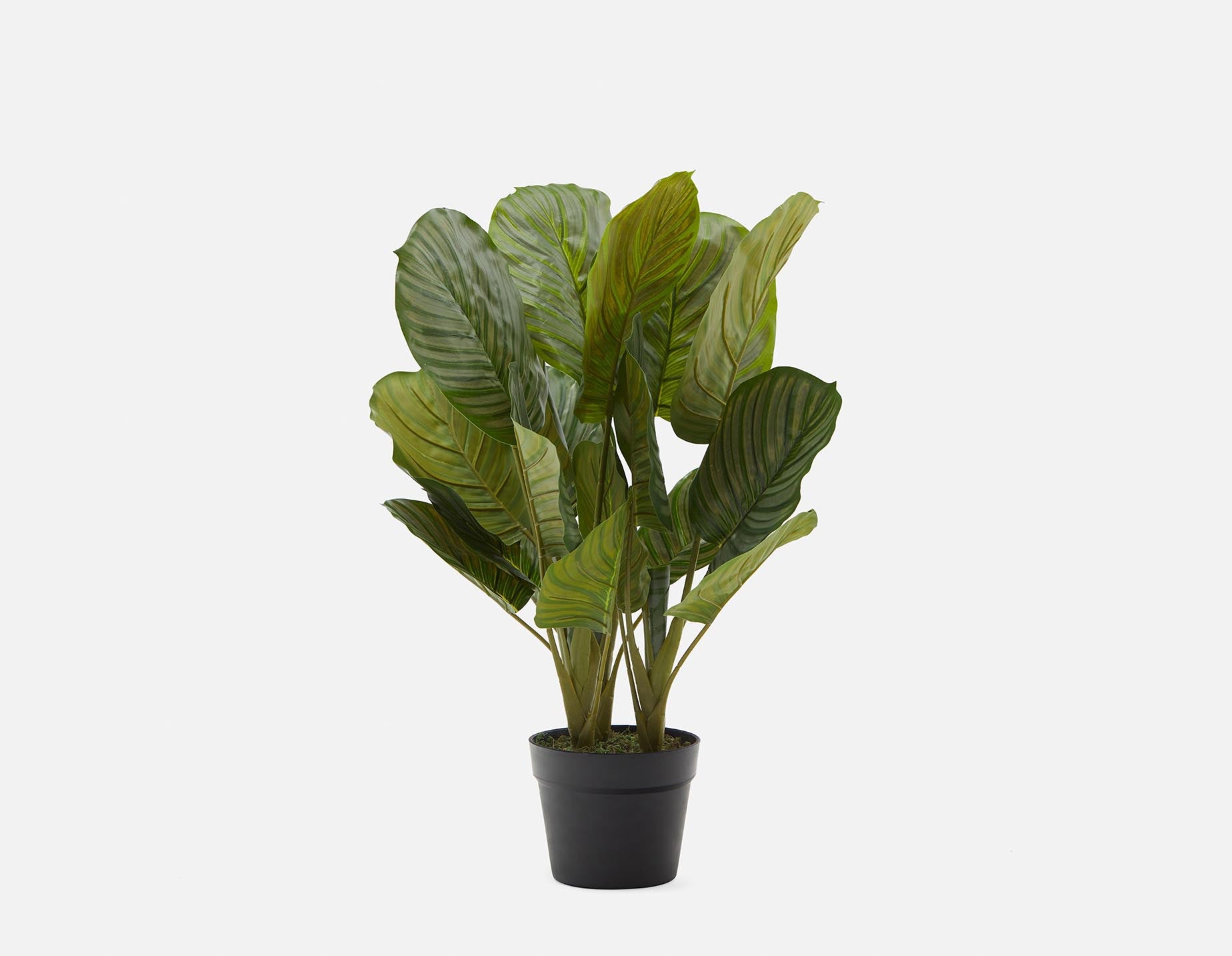 ALLY - plante artificielle en pot 55 cm - Vert