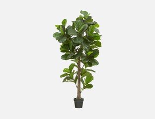 FIDDLE TREE - artificial potted plant 190 cm - Green