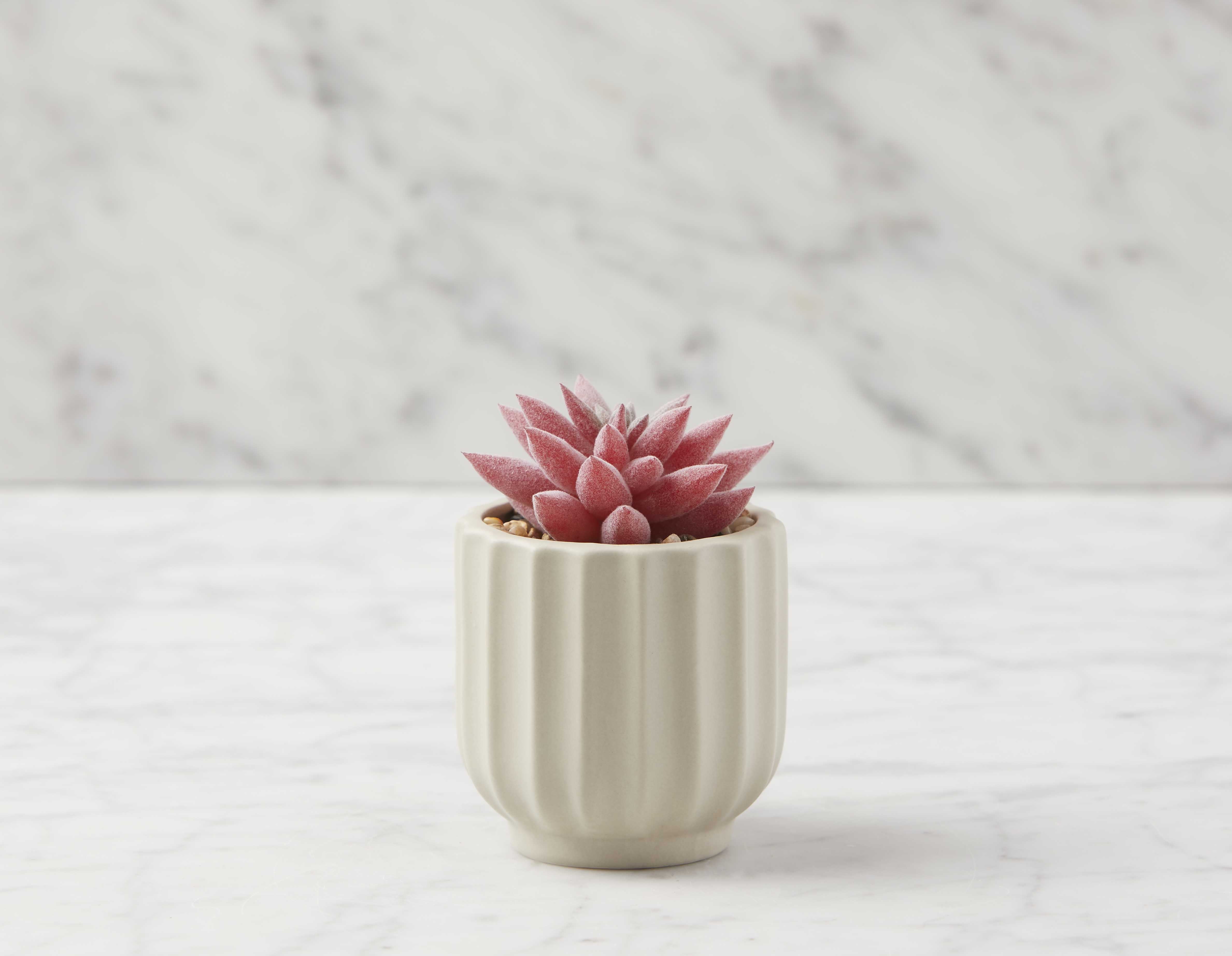 GALE - artificial potted plant 12 cm - Multi