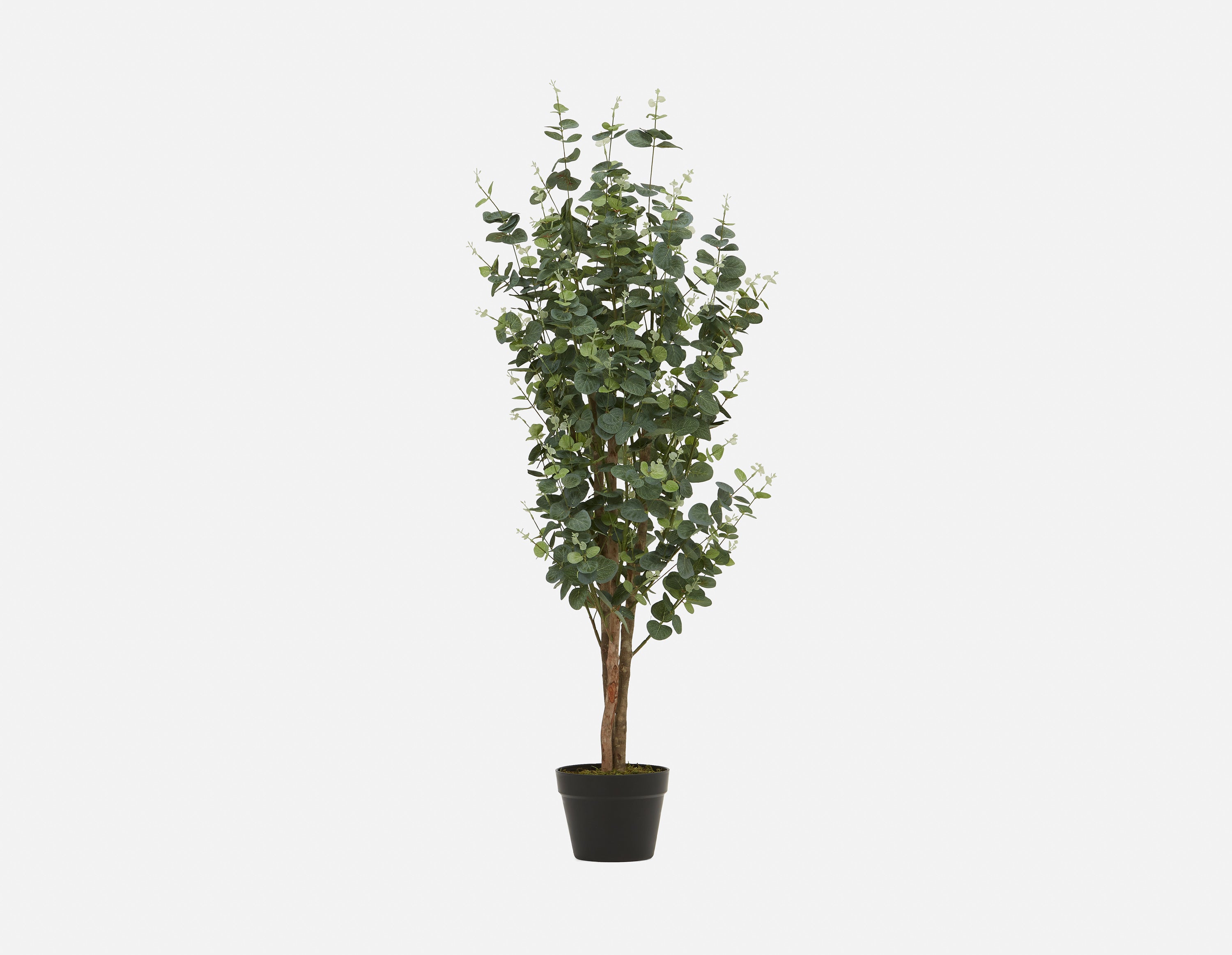 EUCALYPTUS IV - artificial potted plant 125cm - Green