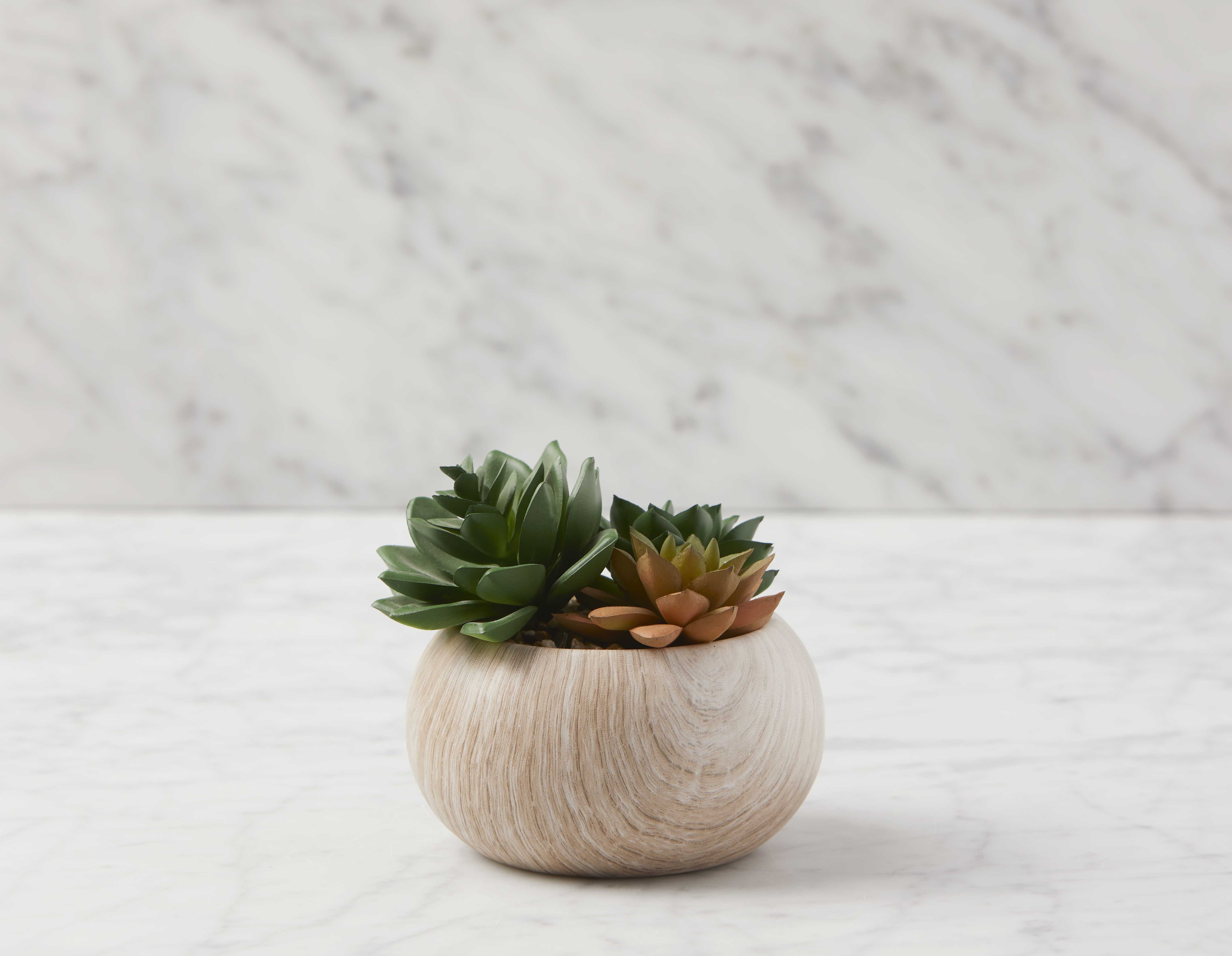 TISHA - artificial potted plant 13 cm - Multi