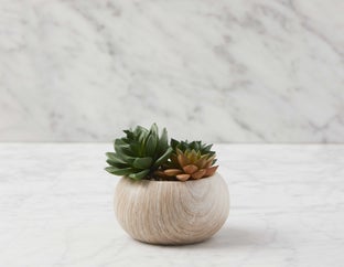 TISHA - artificial potted plant 13 cm - Multi