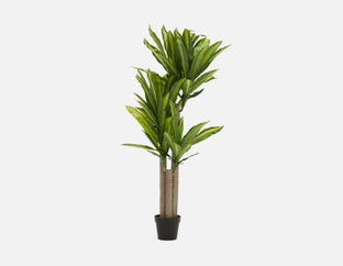 DAXI - artificial potted plant 150 cm - Green