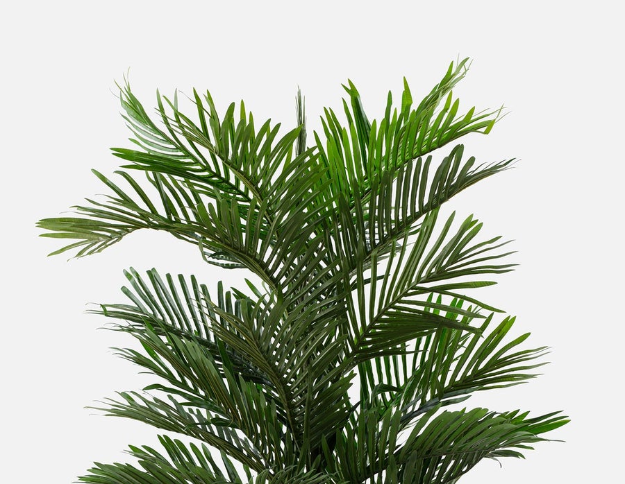 PALM artificial potted plant 150 cm undefined