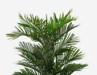 PALM - plante artificielle en pot 150 cm - Vert