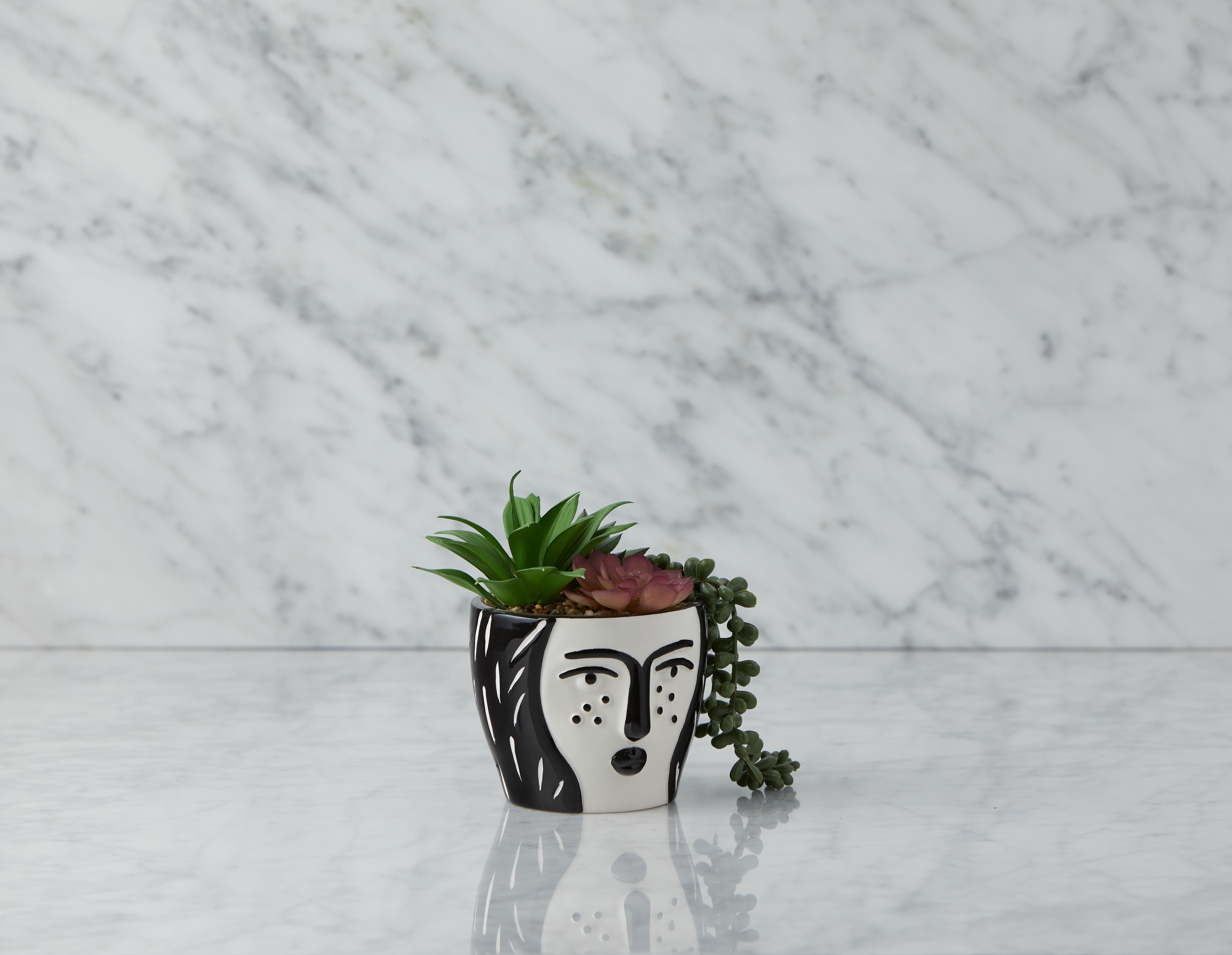 OMORFOS - artificial potted plant 16 cm - Black/White