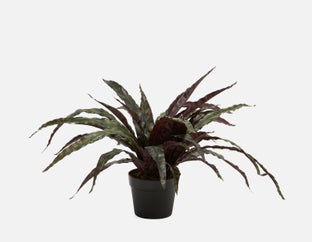 LEE - plante artificielle en pot 50 cm - Vert