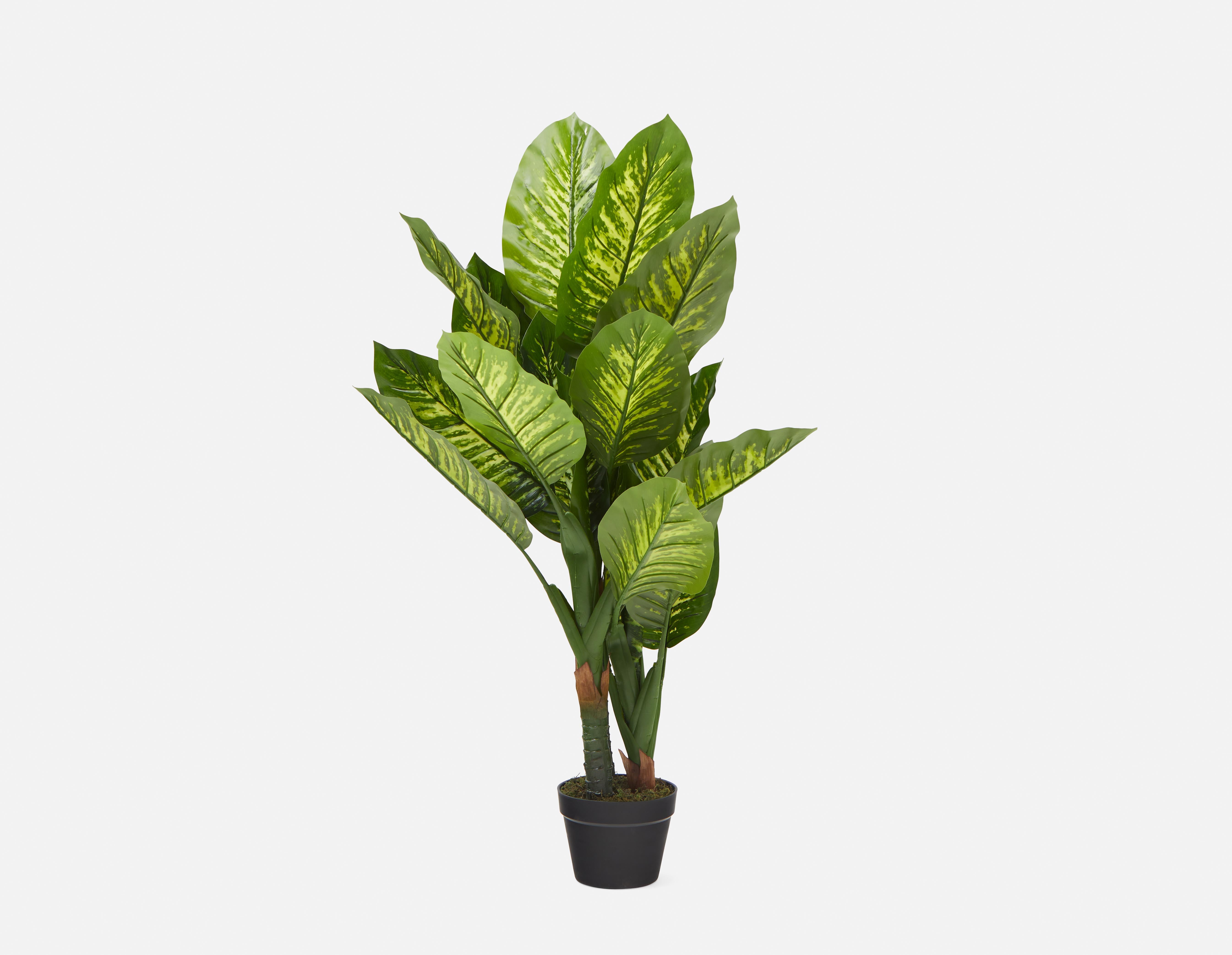 ALONZO - plante artificielle en pot 120 cm - Vert