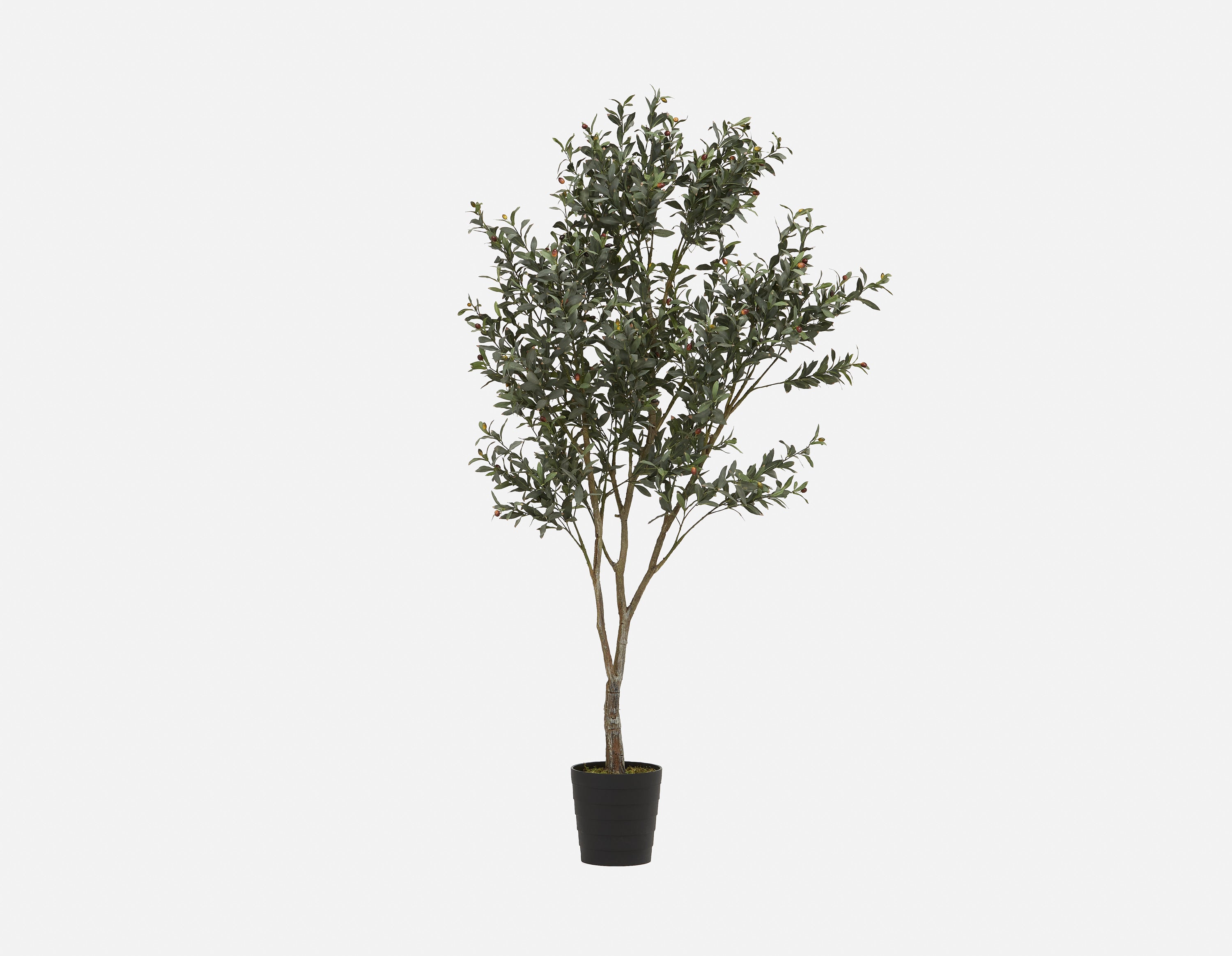 OLIVE II - artificial potted plant 200cm - Green