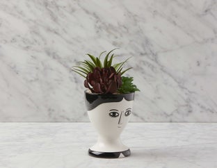 ARKETA - plante artificielle en pot 25 cm - Noir/blanc
