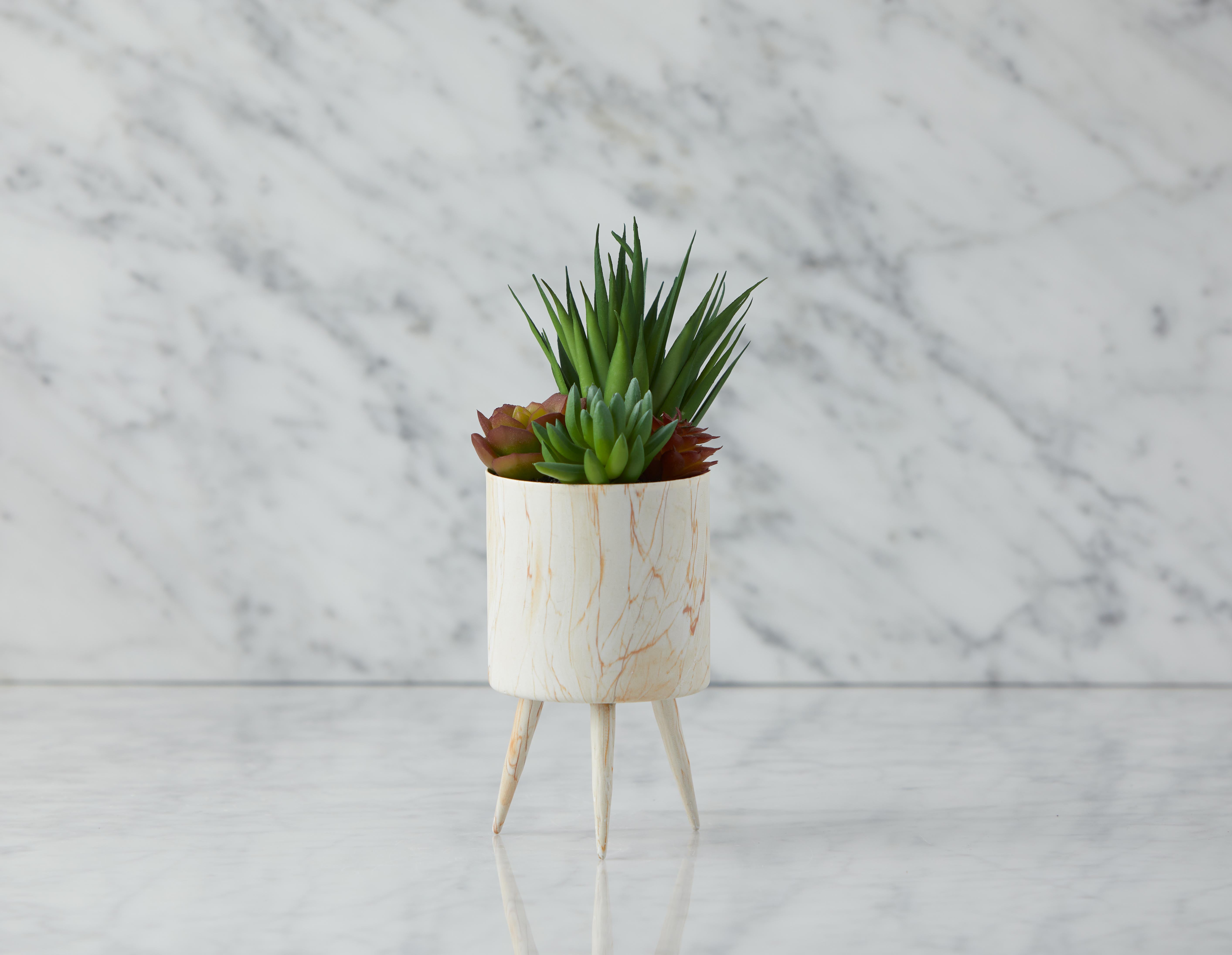TAWNEY - plante artificielle en pot 25 cm - Multi