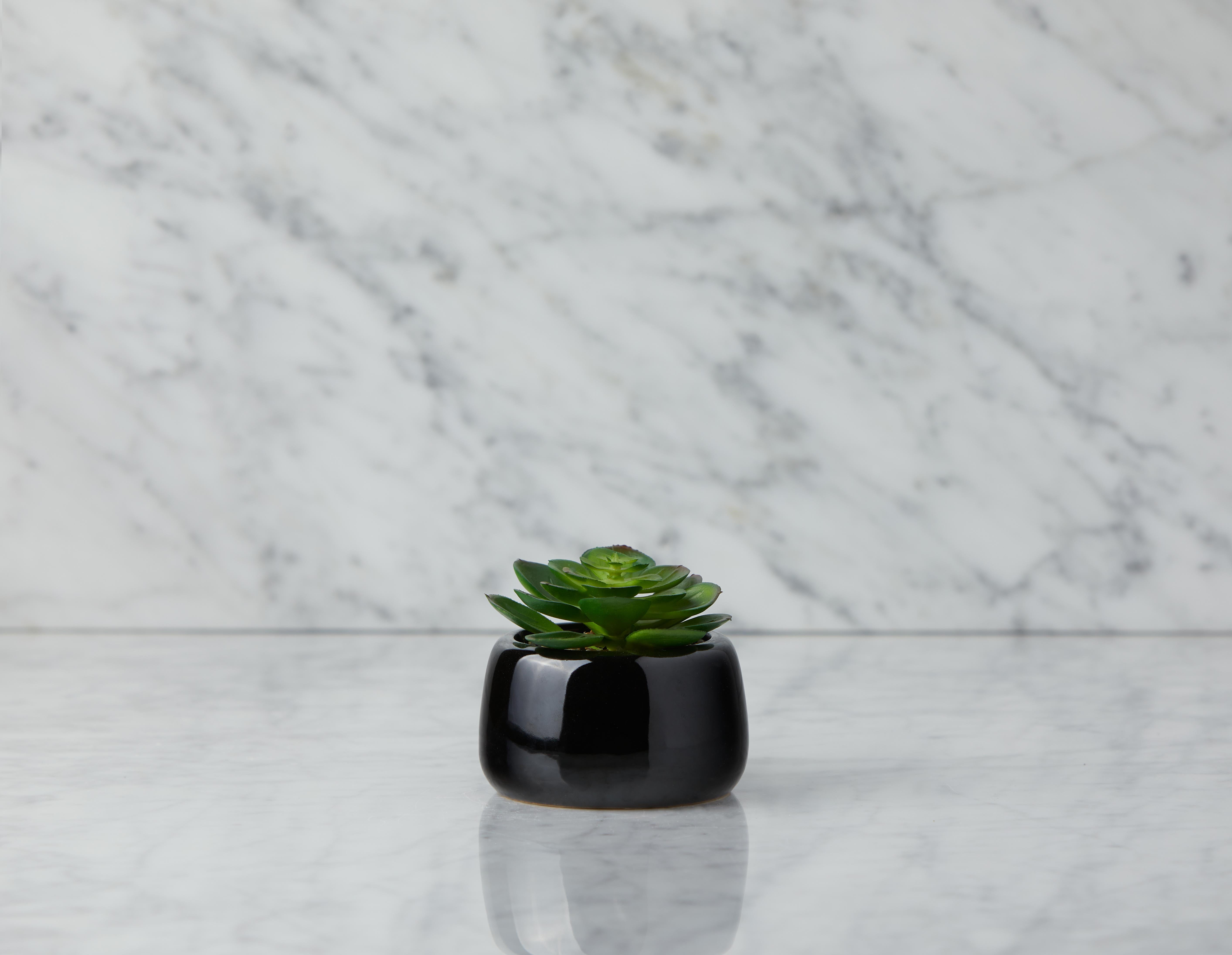 CAORY - artificial potted plant 11 cm - Black