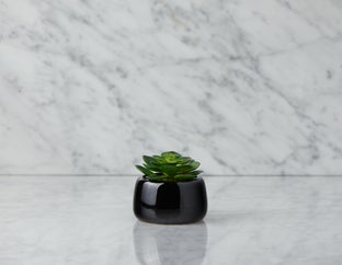 CAORY - plante artificielle en pot 11 cm - Noir
