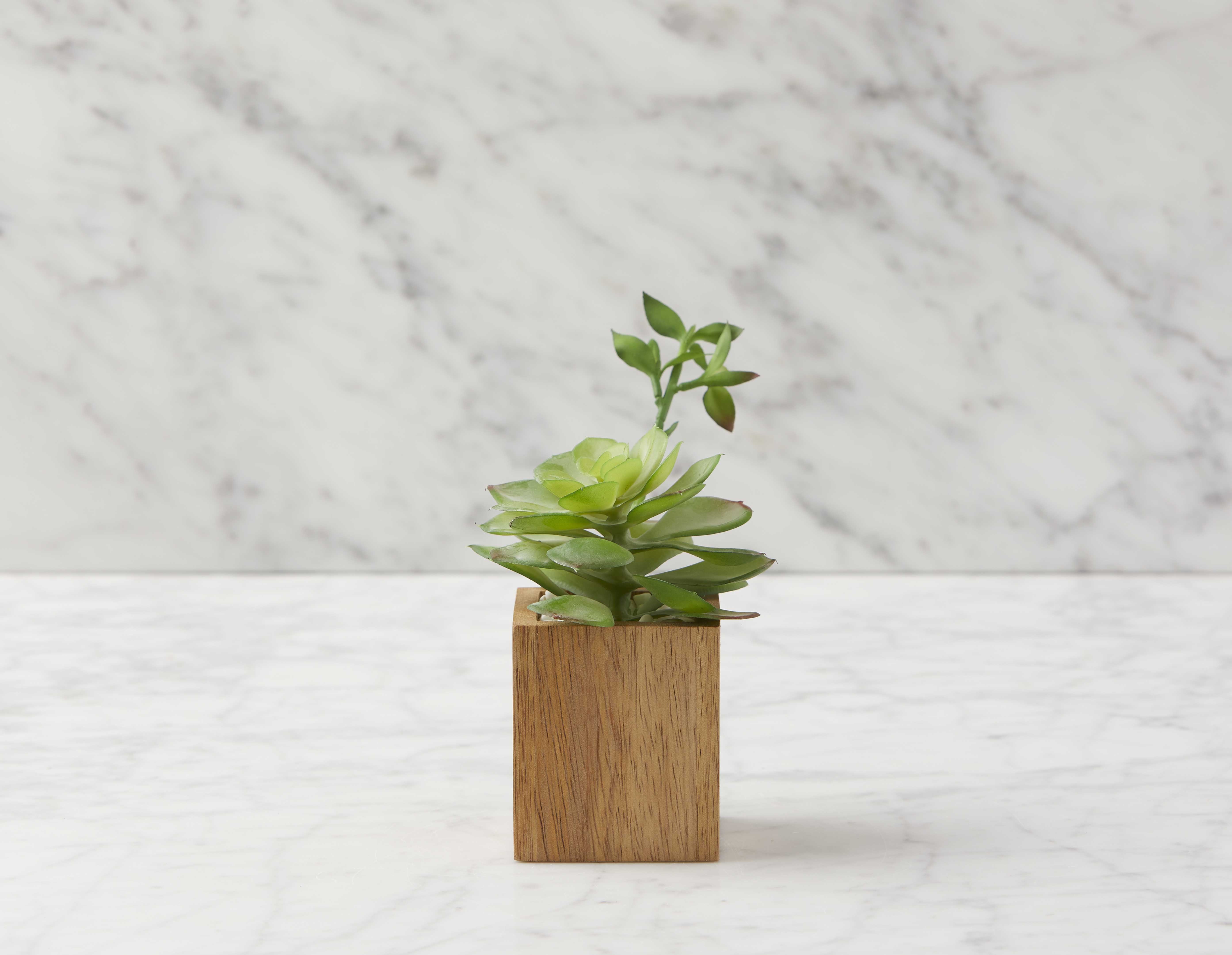 FORET artificial potted plant 7 cm undefined
