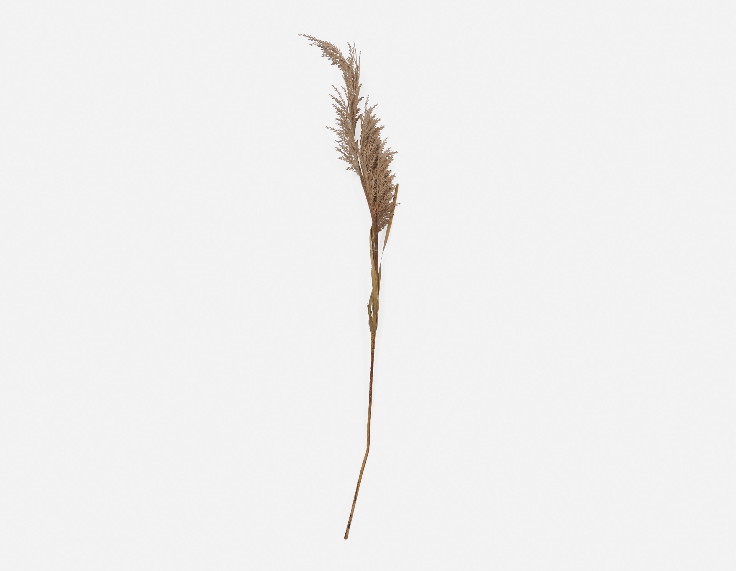 PAMPAS I plante artificielle 107 cm undefined