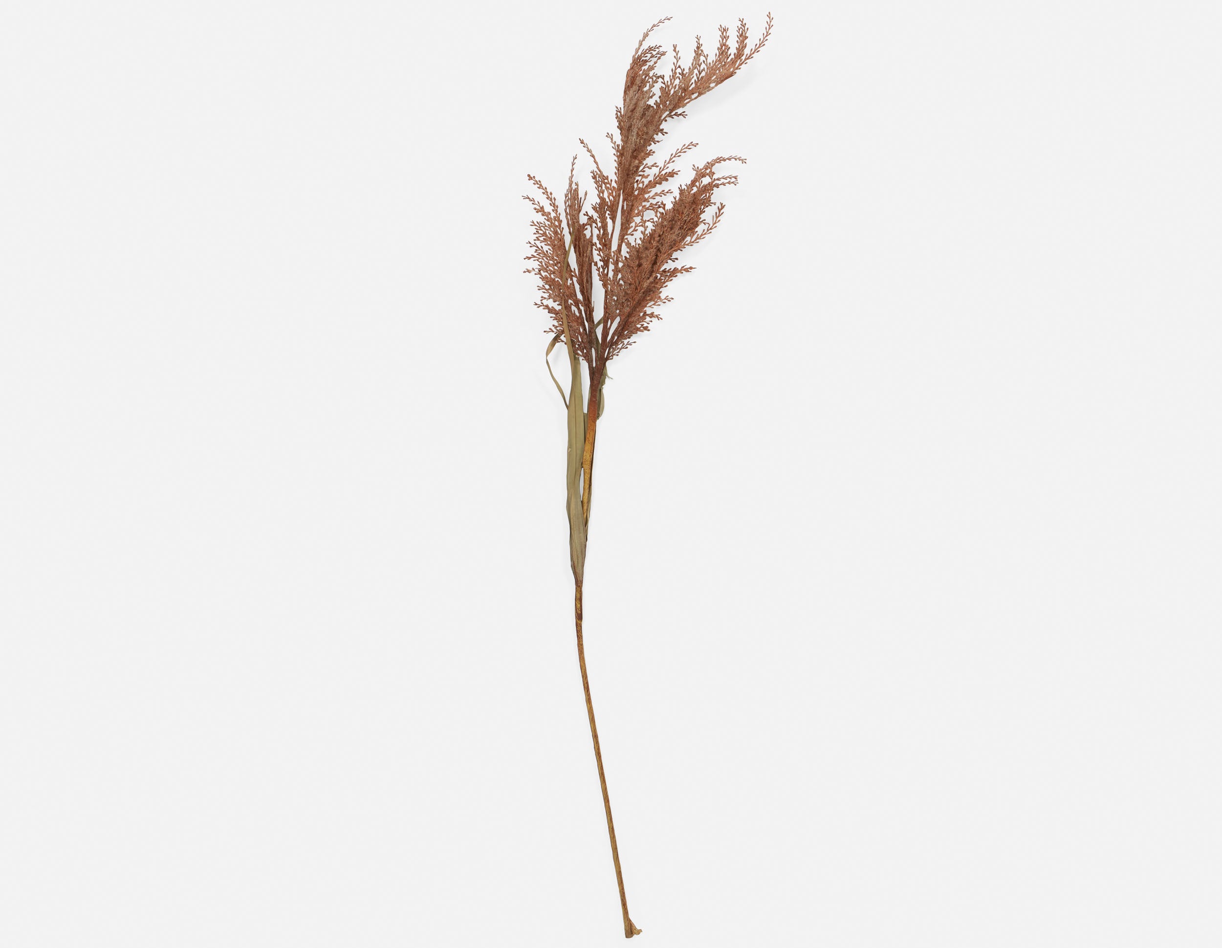 PAMPAS II plante artificielle 107 cm undefined