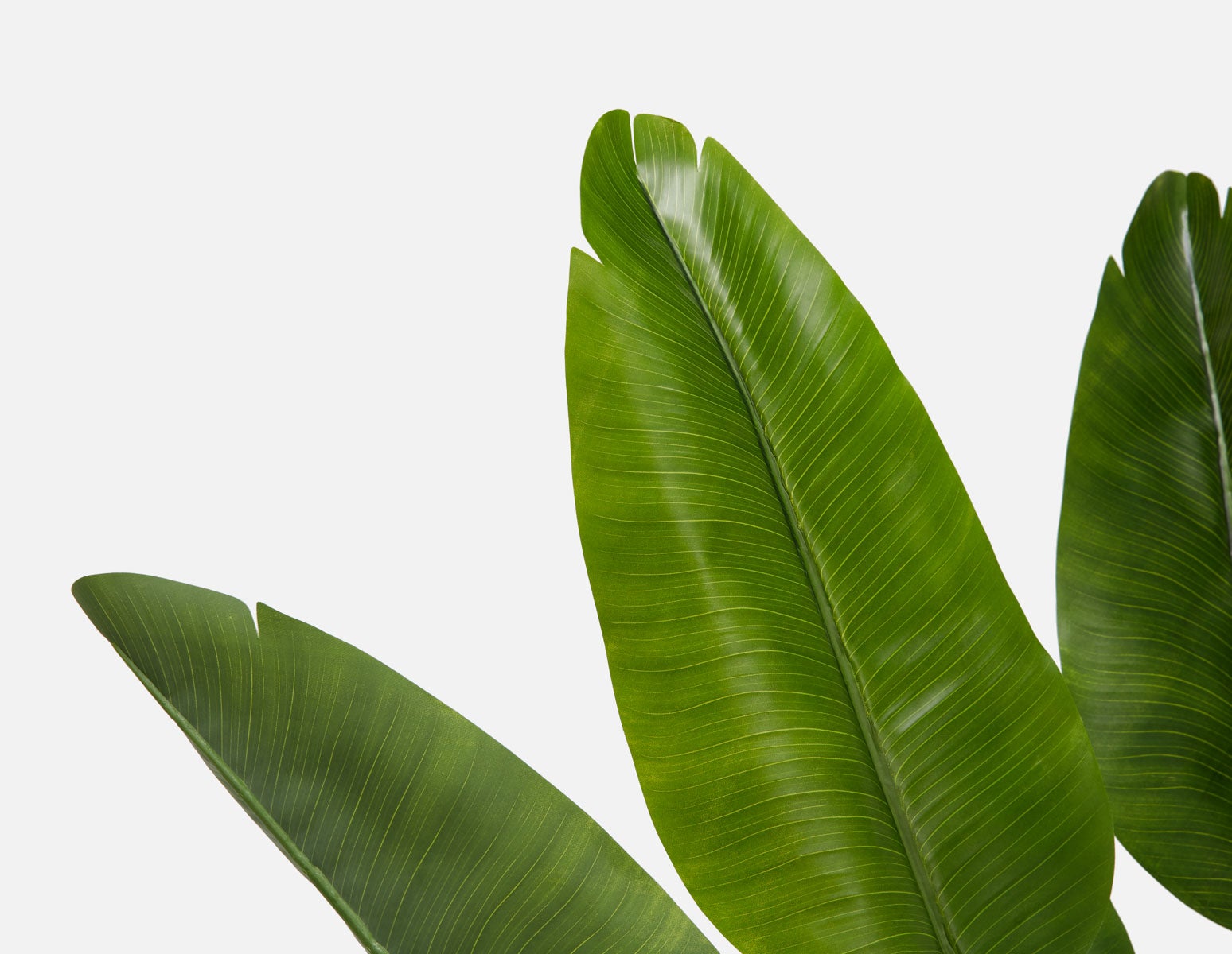 VERTO artificial potted plant 210 cm undefined