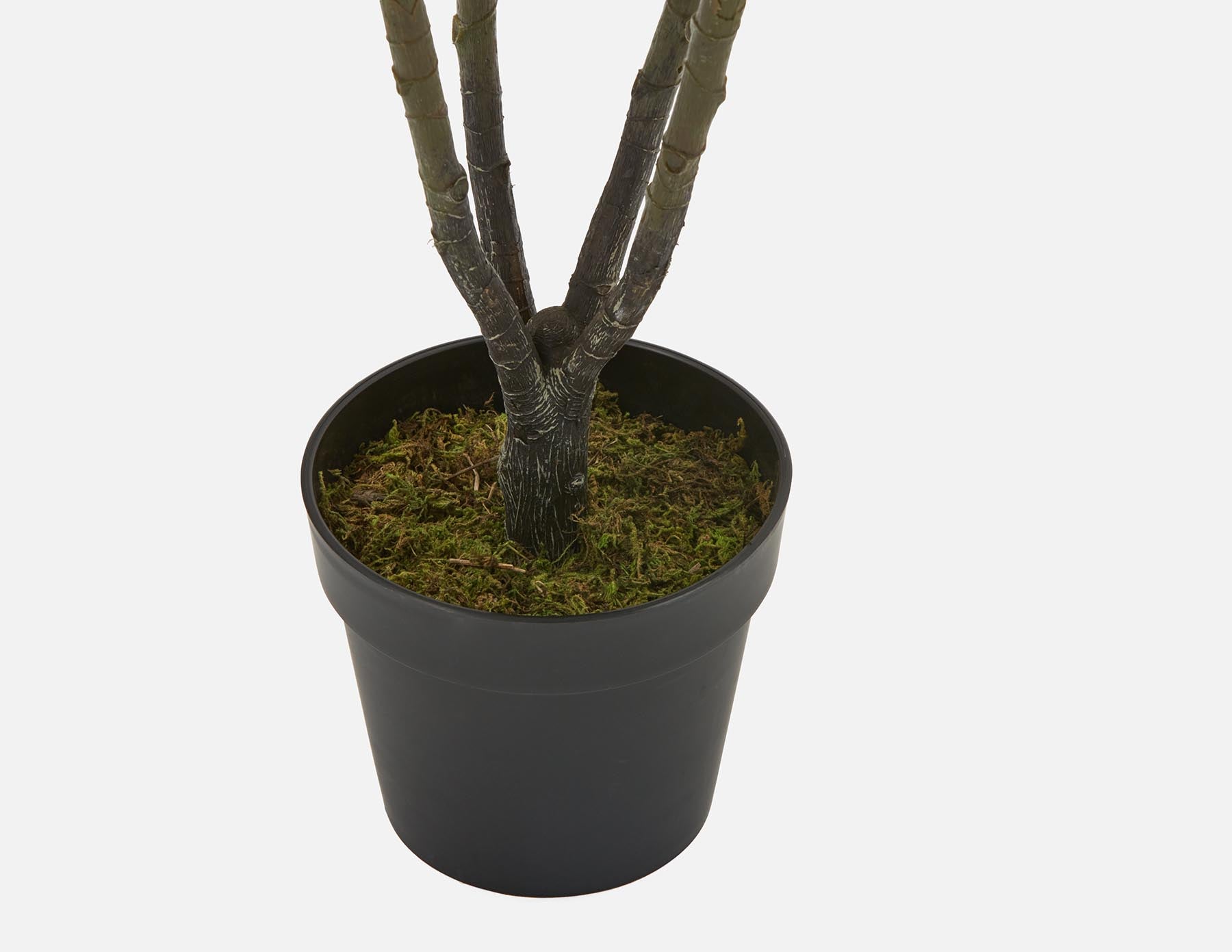 FIDDLE LEAF I plante artificielle en pot 150 cm undefined