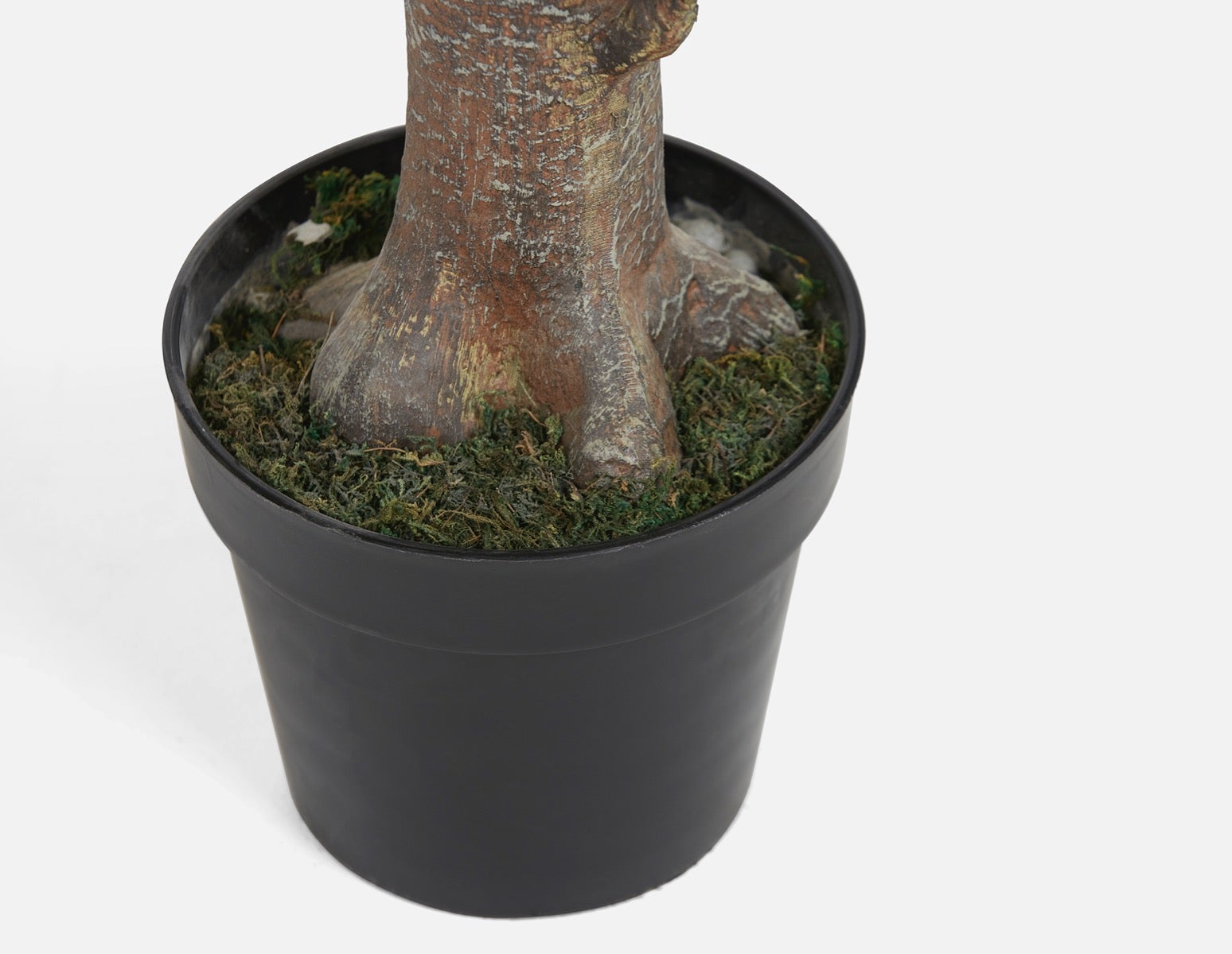 FIDDLE TREE plante artificielle en pot 190 cm undefined