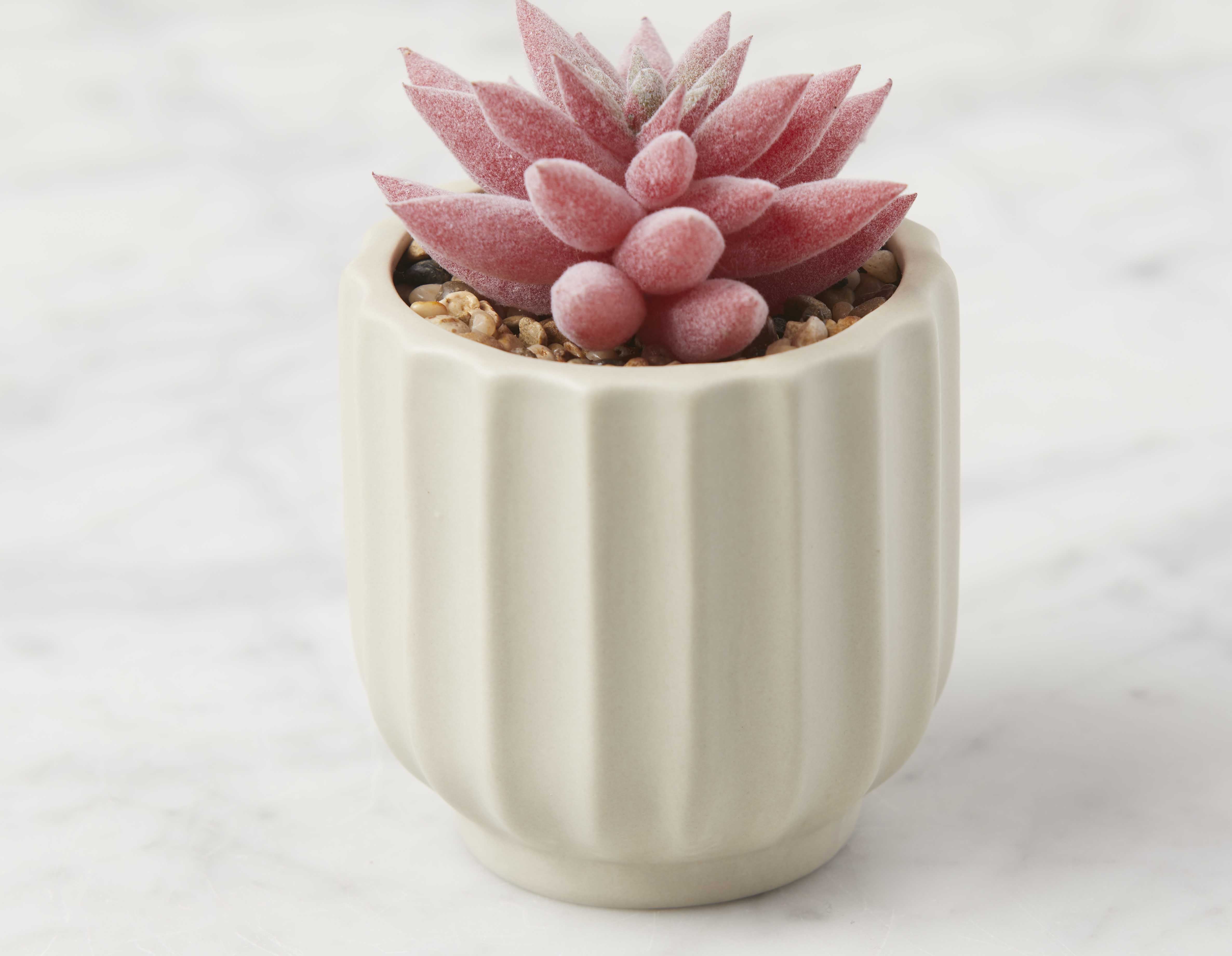 GALE artificial potted plant 12 cm undefined