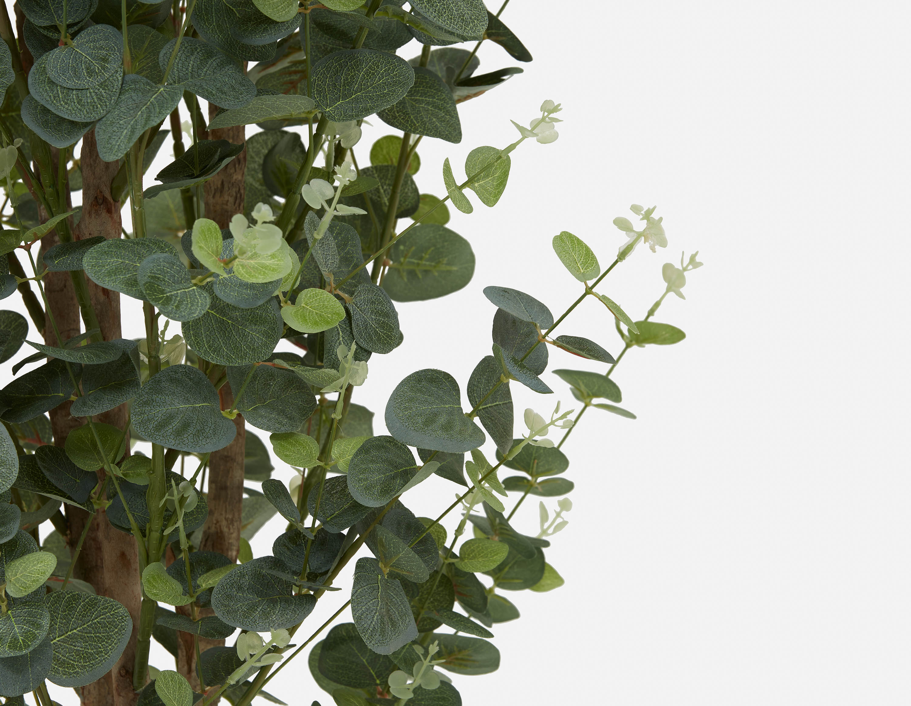 EUCALYPTUS IV artificial potted plant 125cm undefined