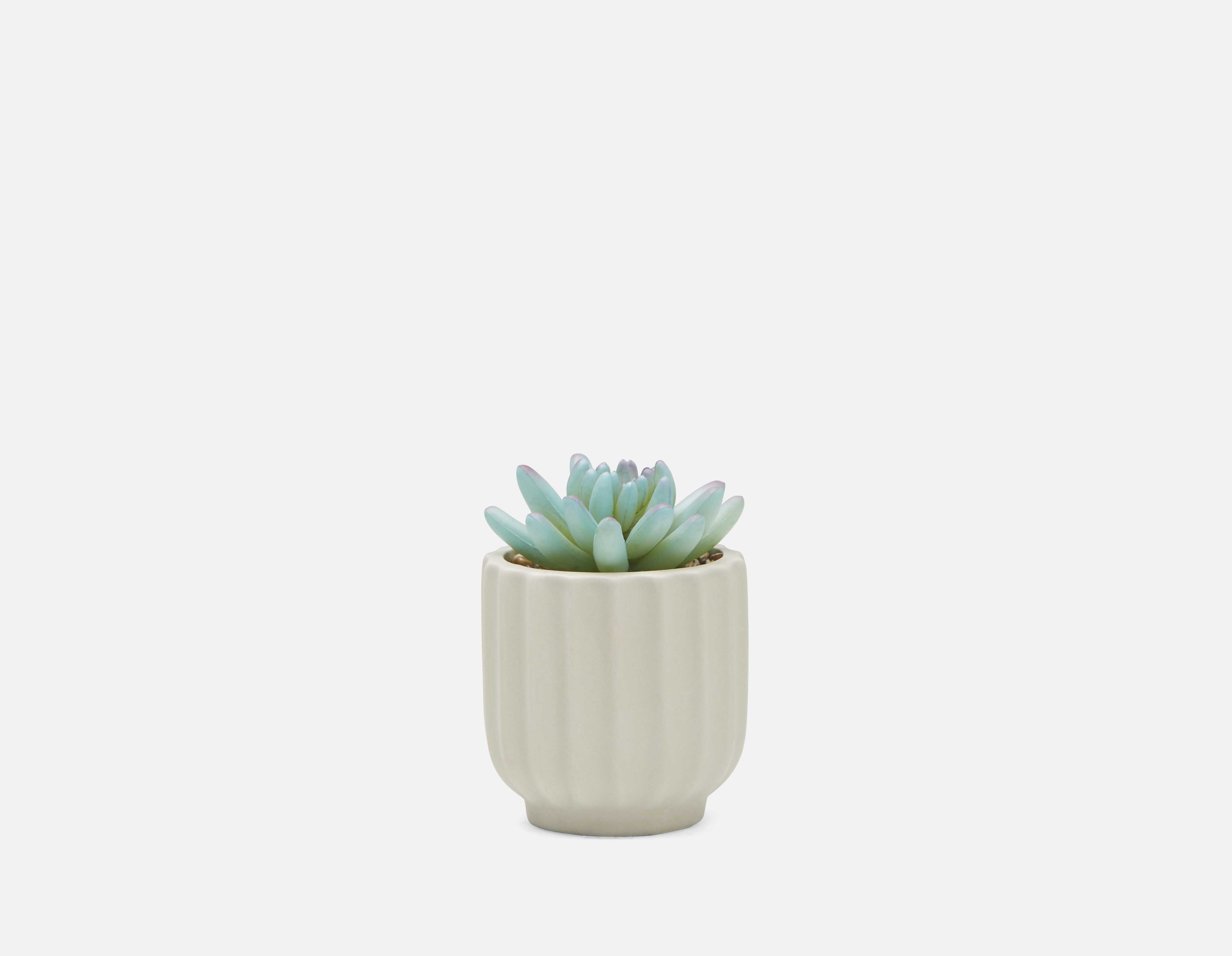NAVA artificial potted plant 12 cm undefined