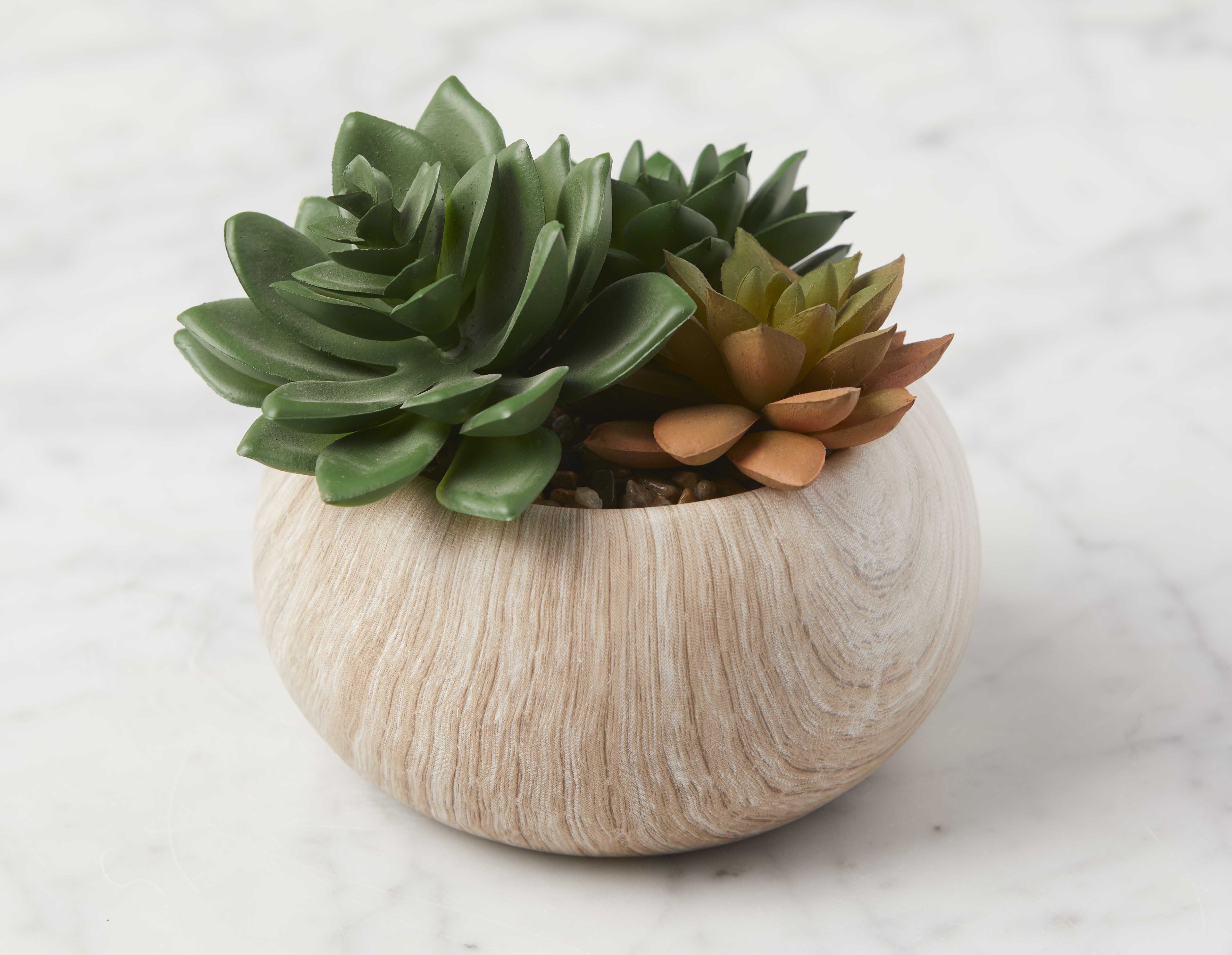 TISHA artificial potted plant 13 cm undefined