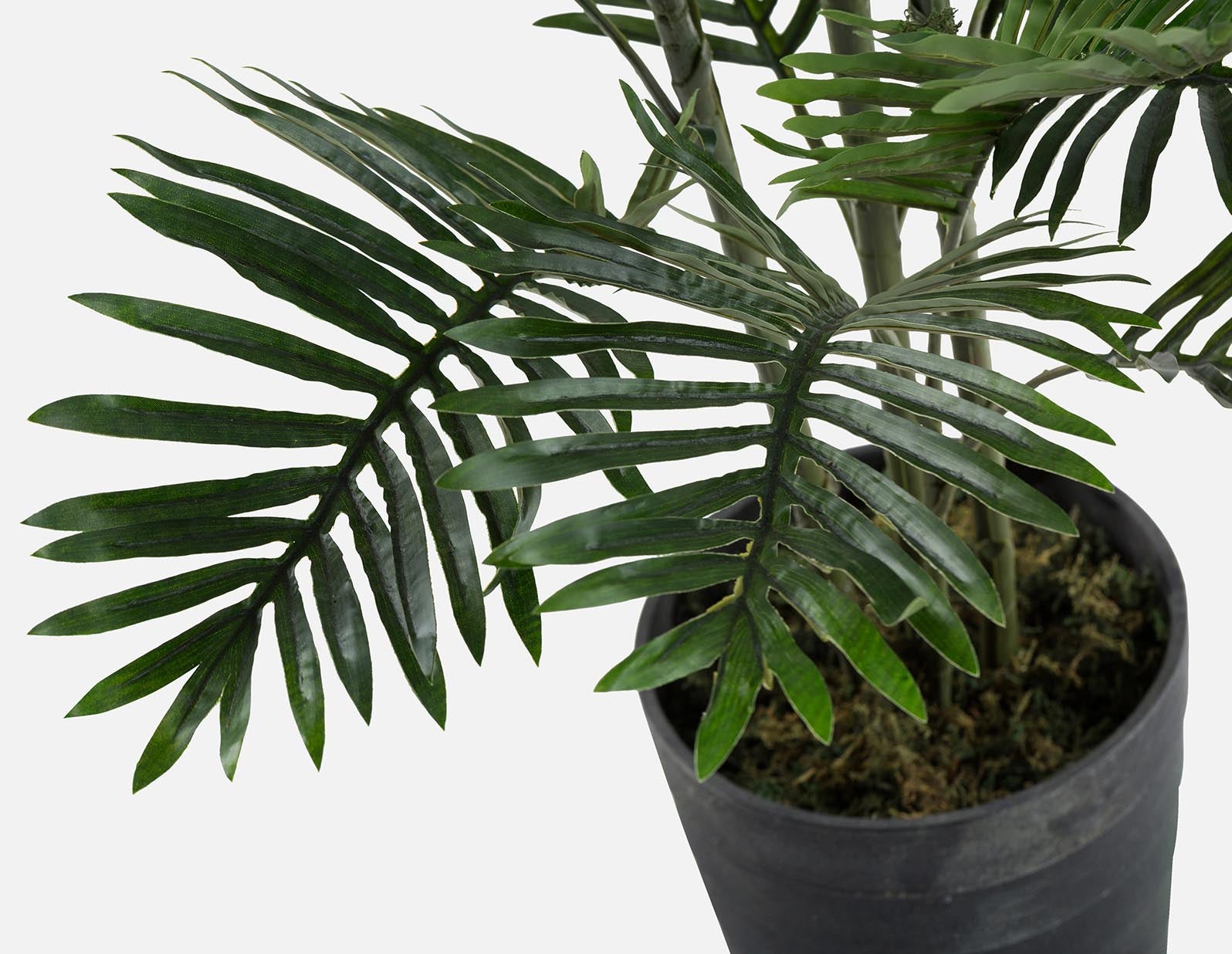 PALM artificial potted plant 150 cm undefined