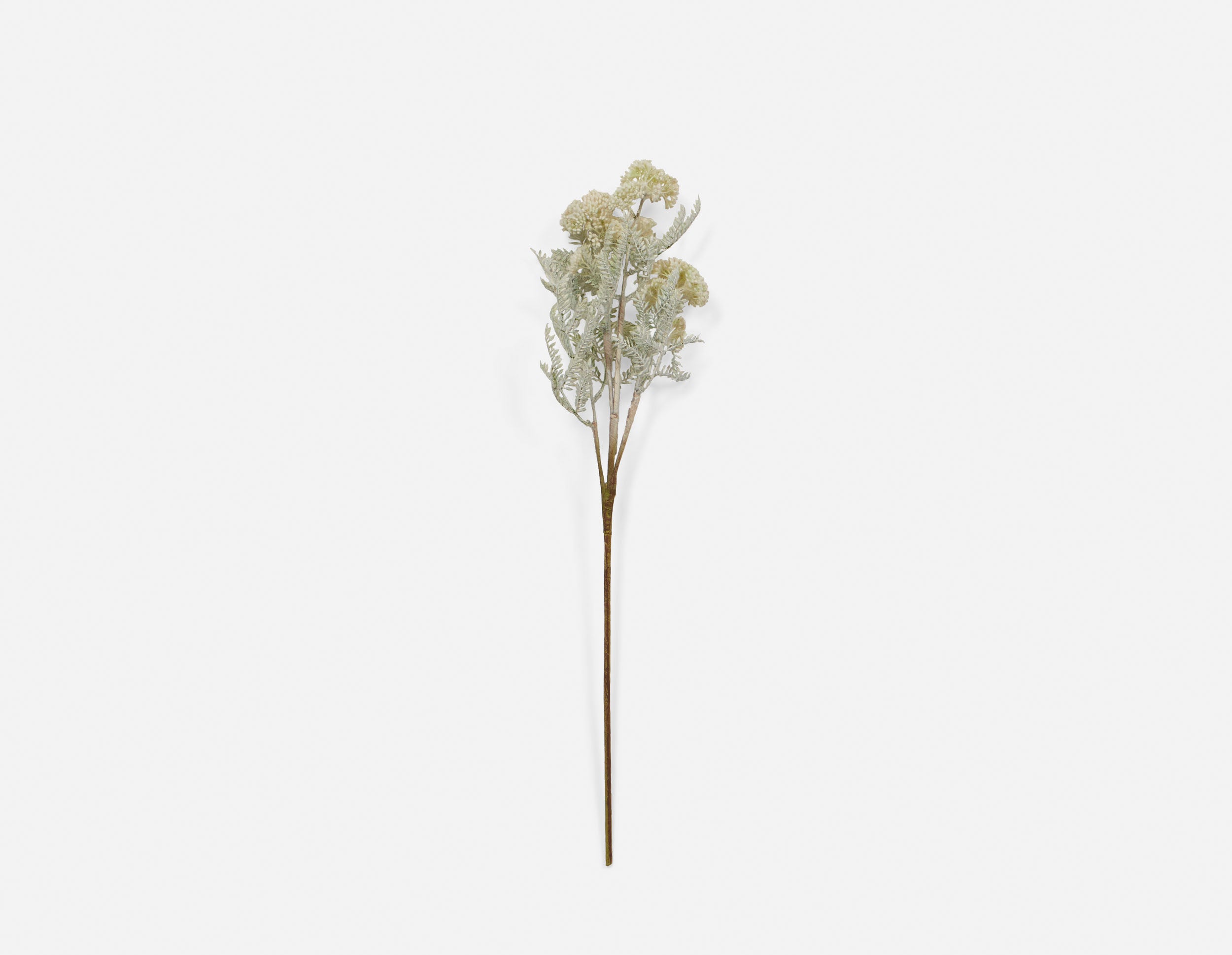 DANDI artificial plant 71 cm undefined