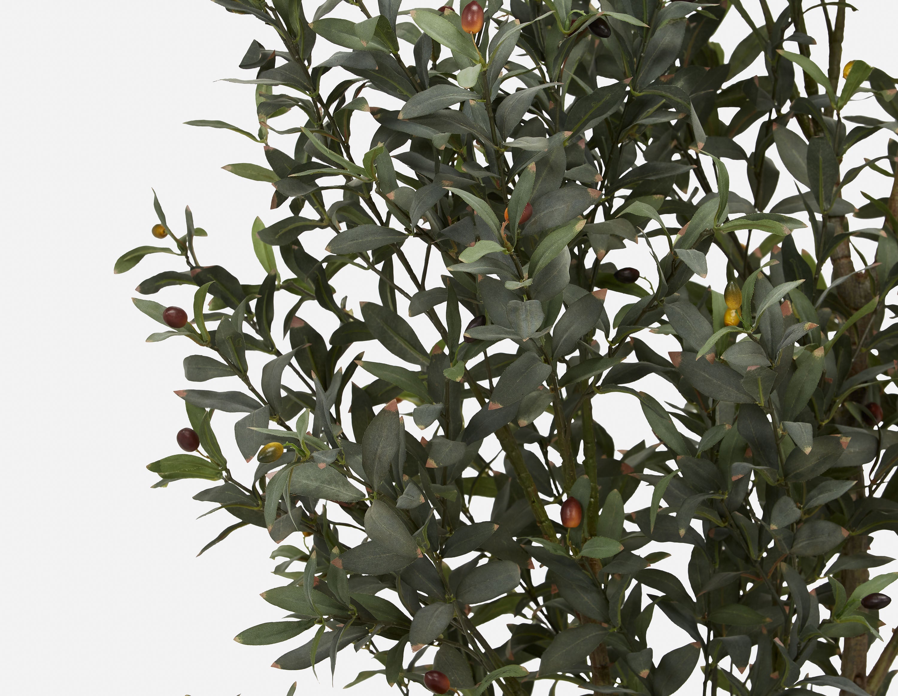 OLIVE II artificial potted plant 200cm undefined