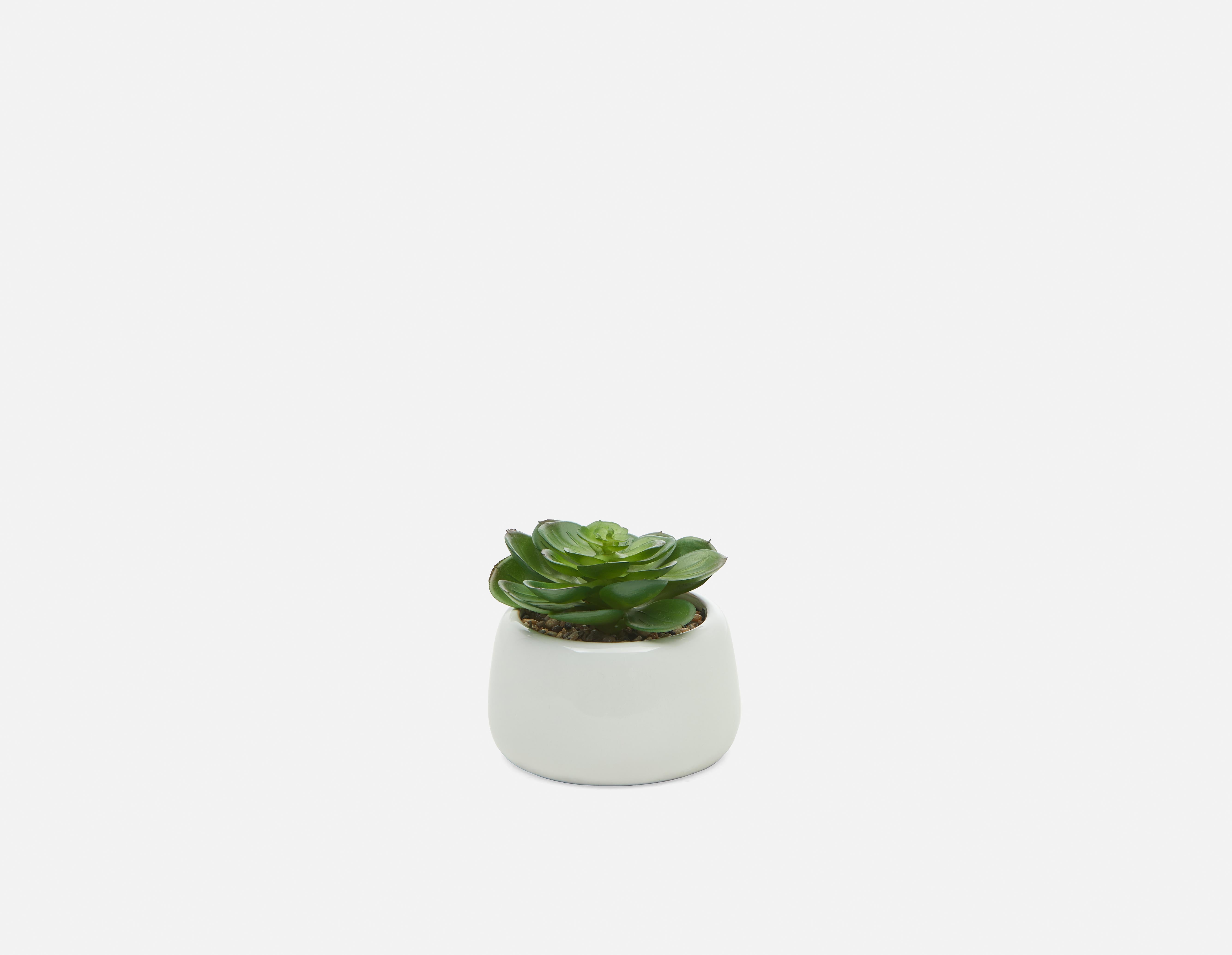 CAORY artificial potted plant 11 cm undefined