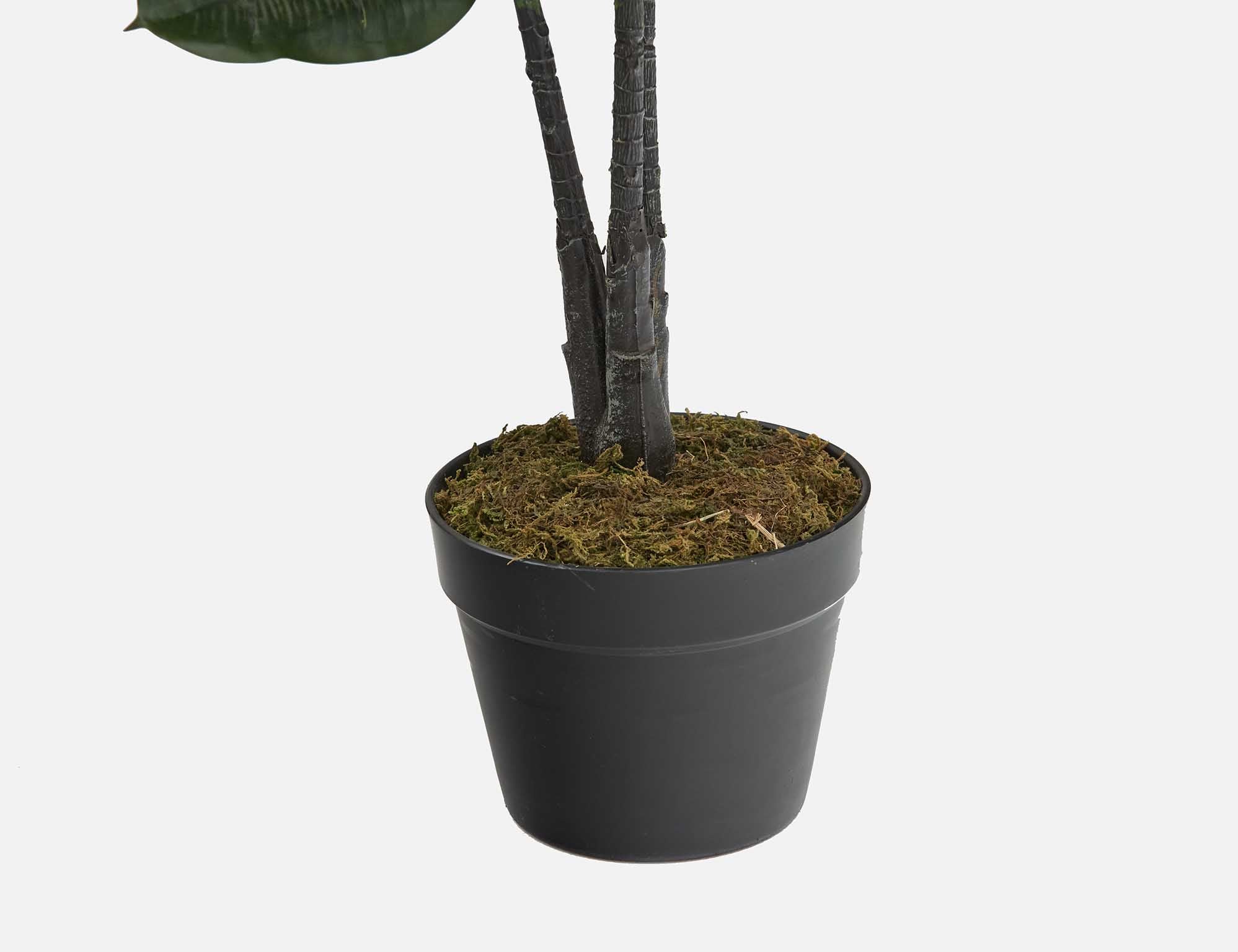 FICUS ELASTICA artificial potted plant 130 cm undefined