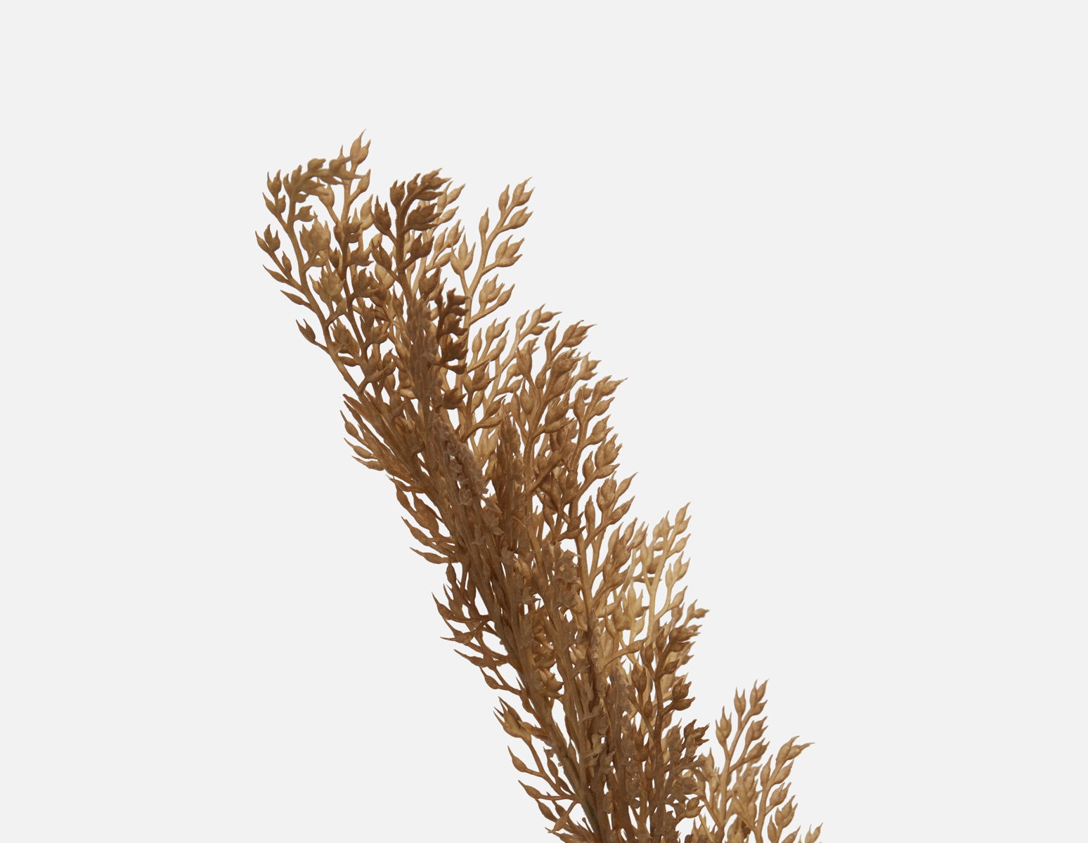DAE artificial potted plant 155 cm undefined