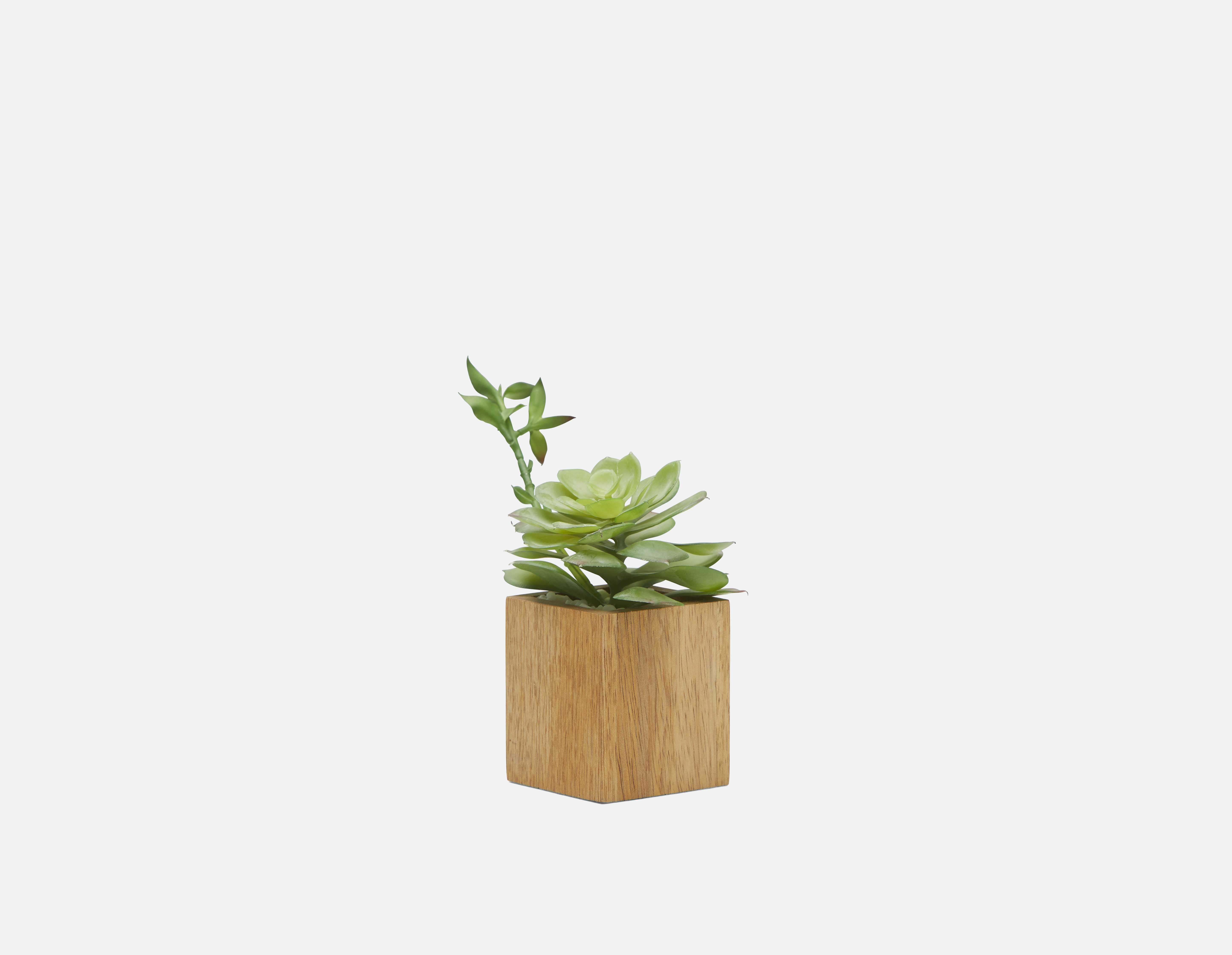 FORET artificial potted plant 7 cm undefined