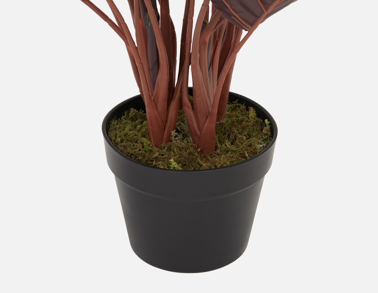 FANI artificial potted plant 70 cm undefined