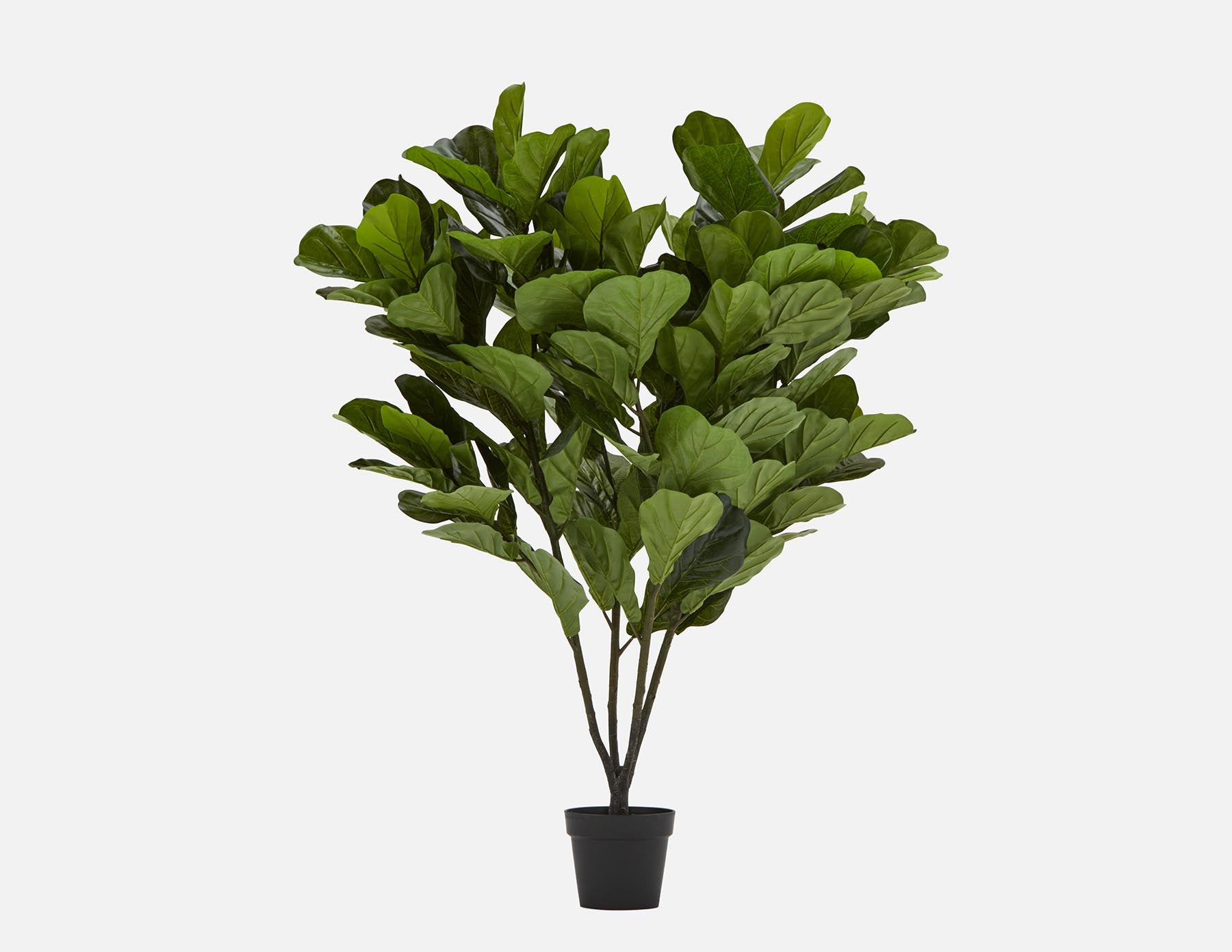 FIDDLE LEAF I plante artificielle en pot 150 cm undefined