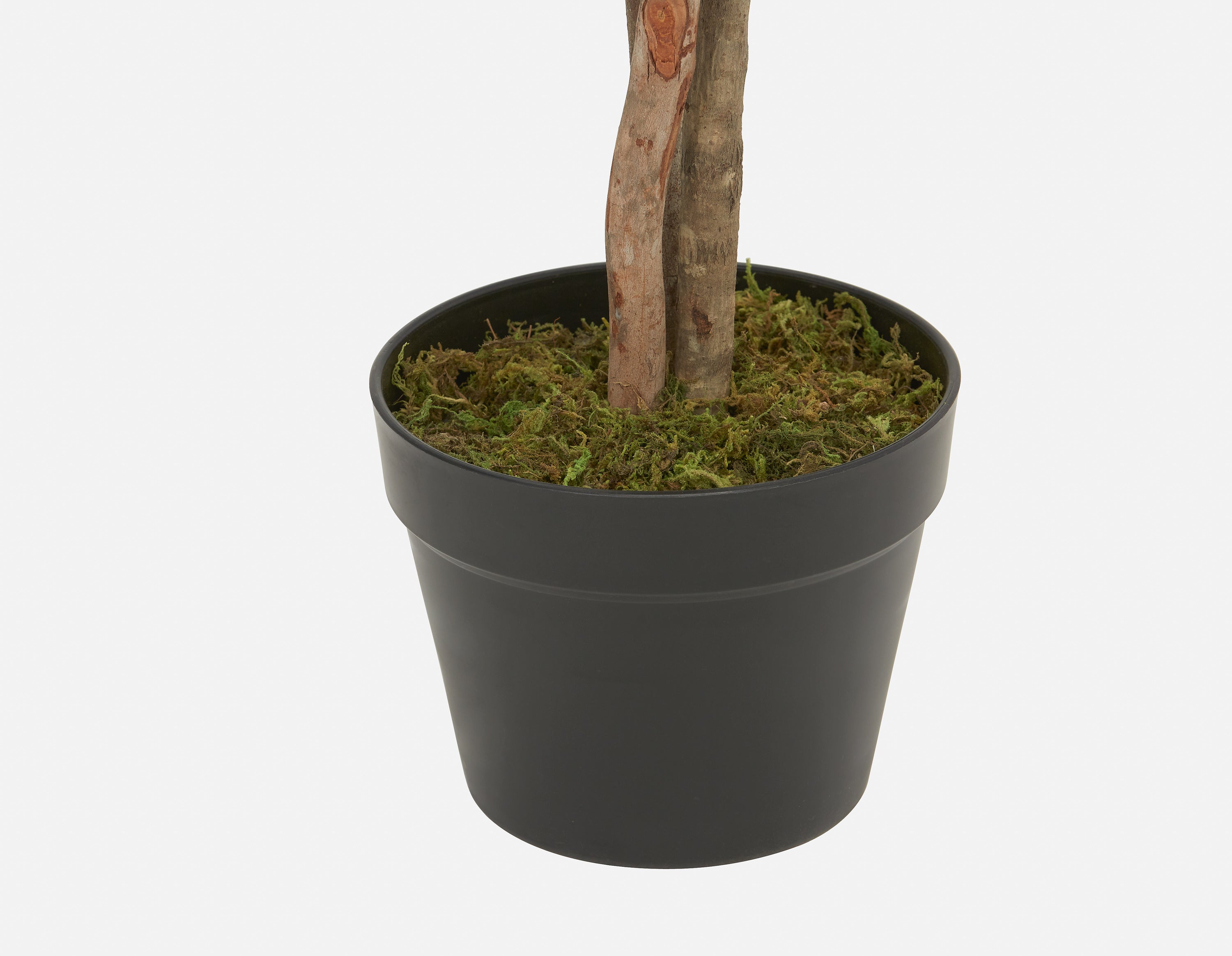 EUCALYPTUS IV artificial potted plant 125cm undefined