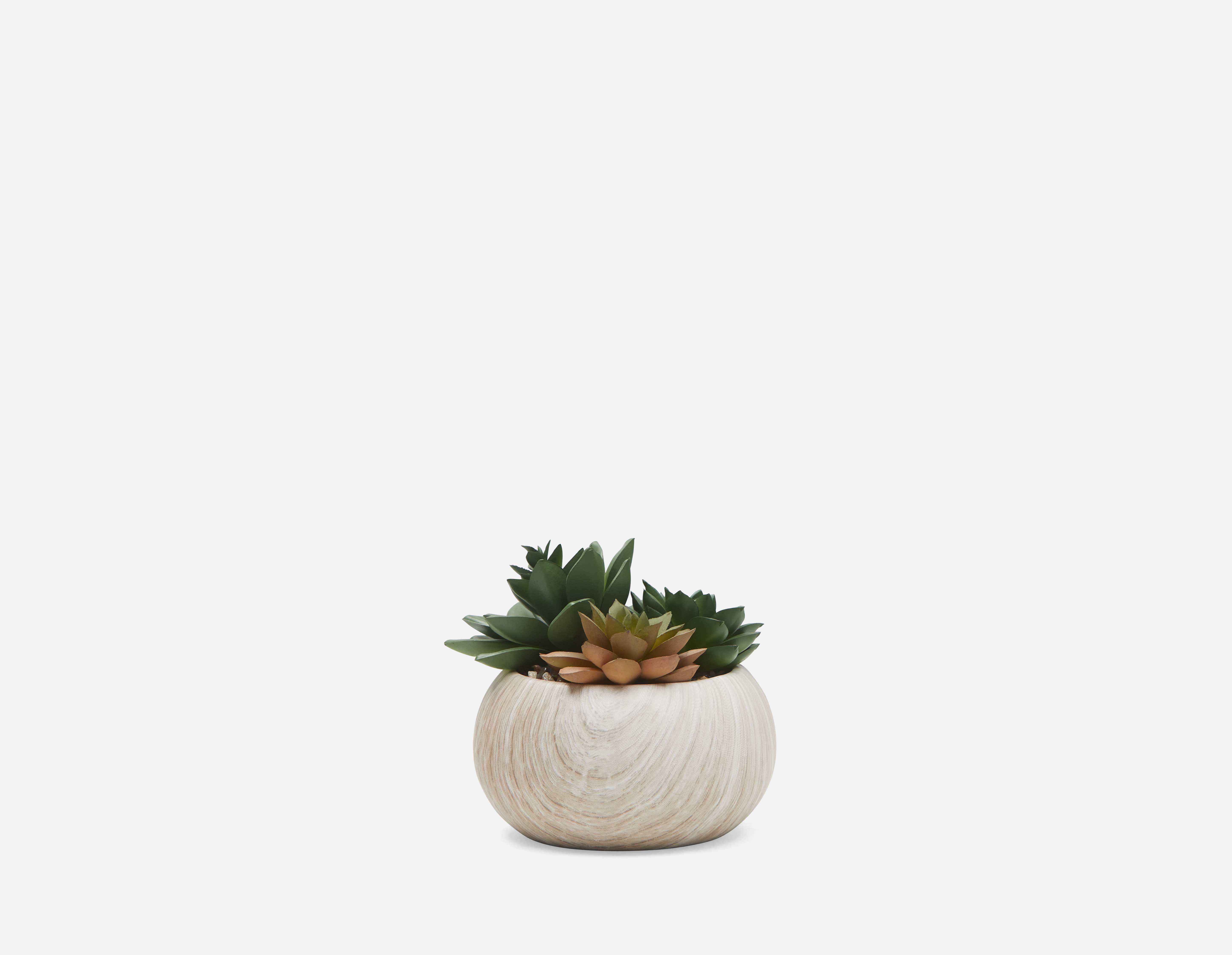 TISHA artificial potted plant 13 cm undefined