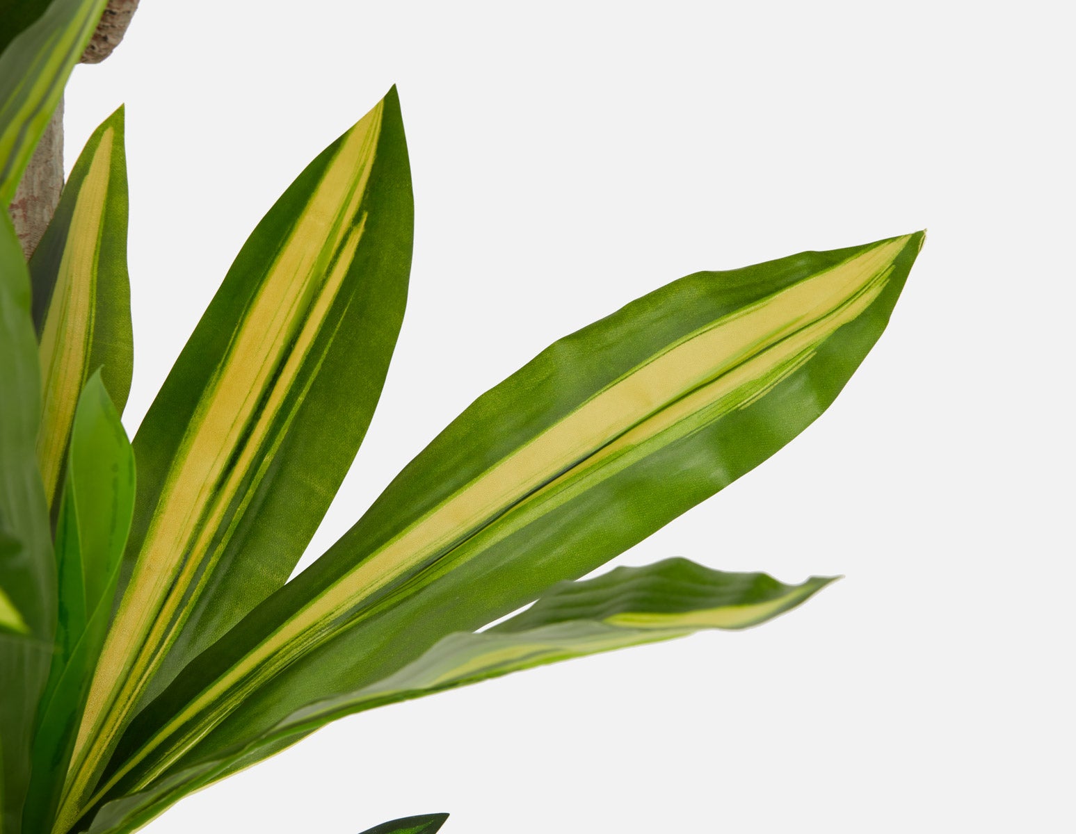 DAXI artificial potted plant 150 cm undefined